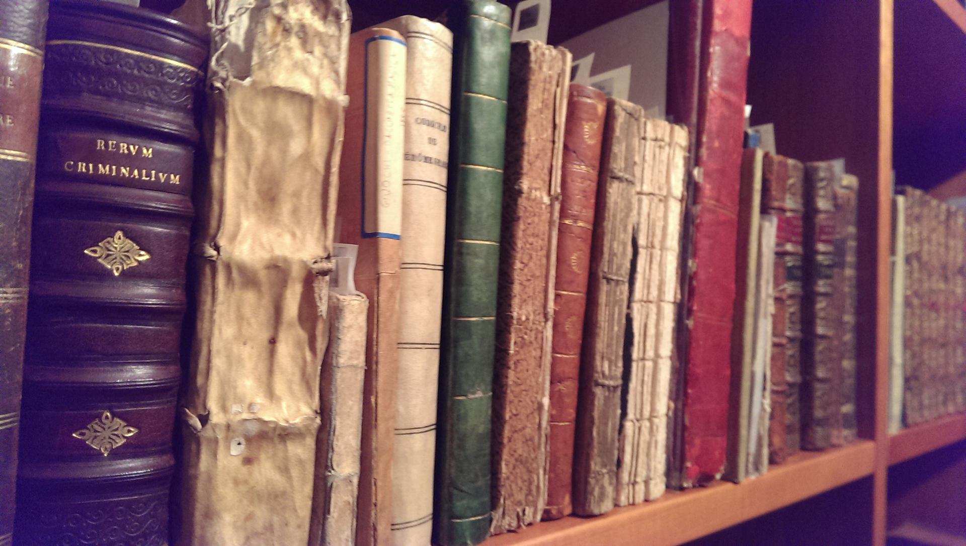 A bookshelf at the Conjuring Arts Research Center in NYC