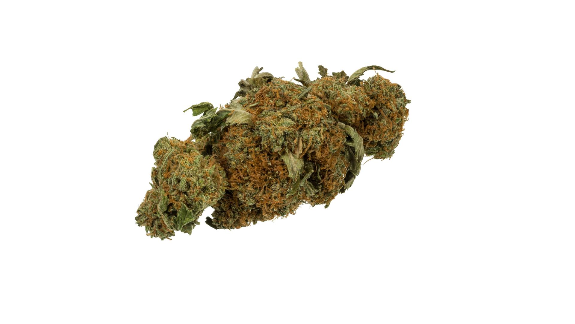 Dried cannabis bud
