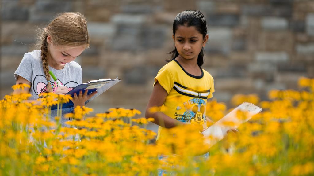 Seven to 9-year-olds discover mathematical patterns found in sunflowers, pine cones and throughout nature.