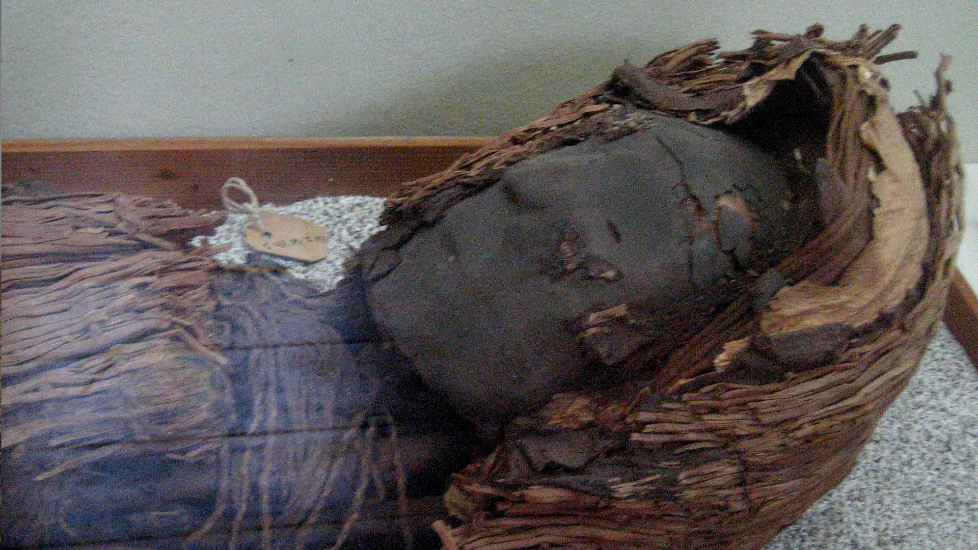 The head of a mummy from the Chinchorro culture, which is found in northern Chile.