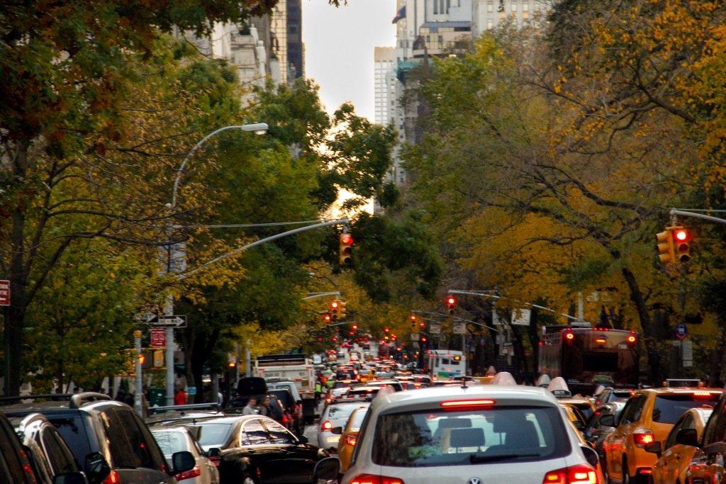 Trees line a busy street in New York. The city is trying to plant 1,000,000 trees to offset climate effects.