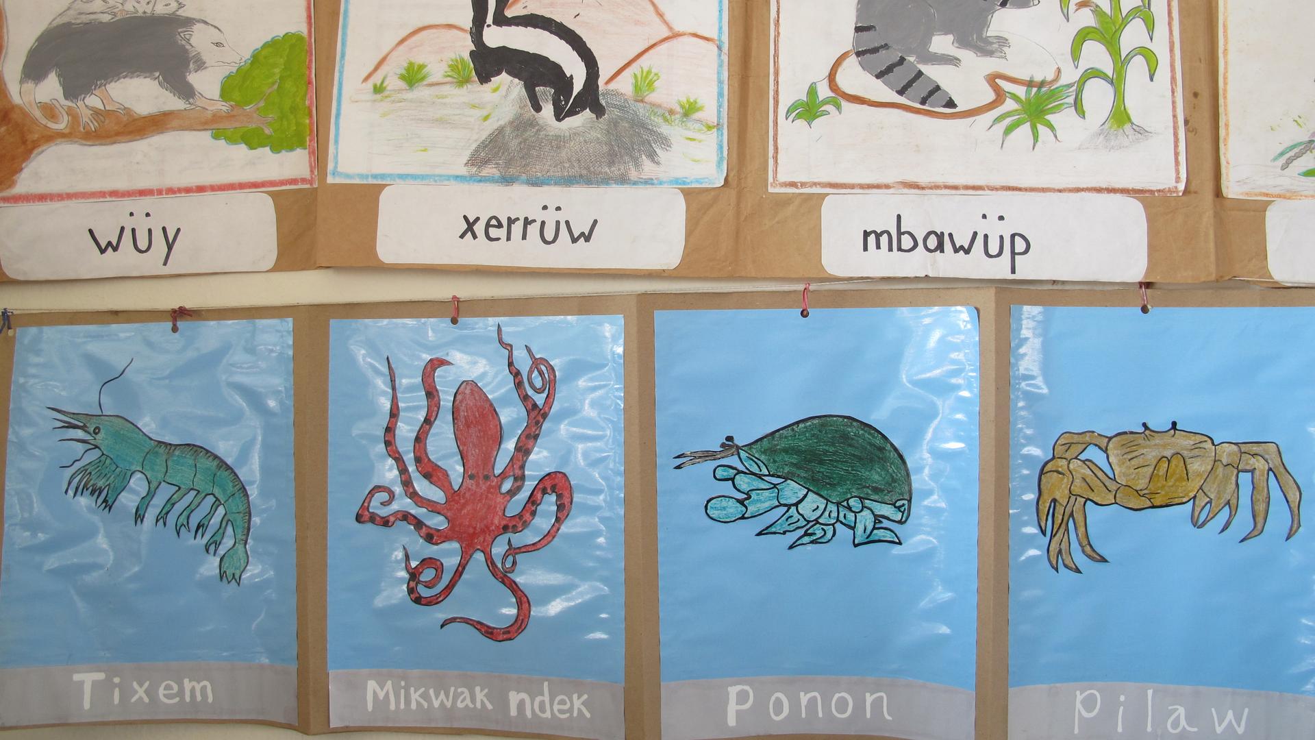 Pictures of local animals on the wall of a bilingual school