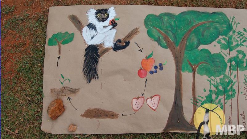 A Madagascar Biodiversity Project poster illustrates the symbiotic relationship between the black and white ruffed lemur and the forests they live in, centered on food and poop. The project aims to use lemur poop to help restore forest habitat for the ben