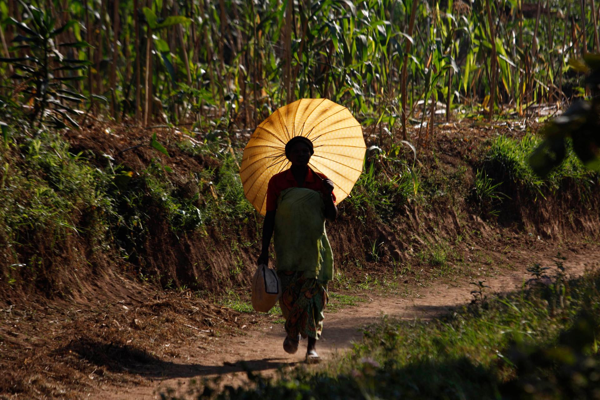 A Rwandan woman carries an umbrella for shade north of the capital Kigali.
