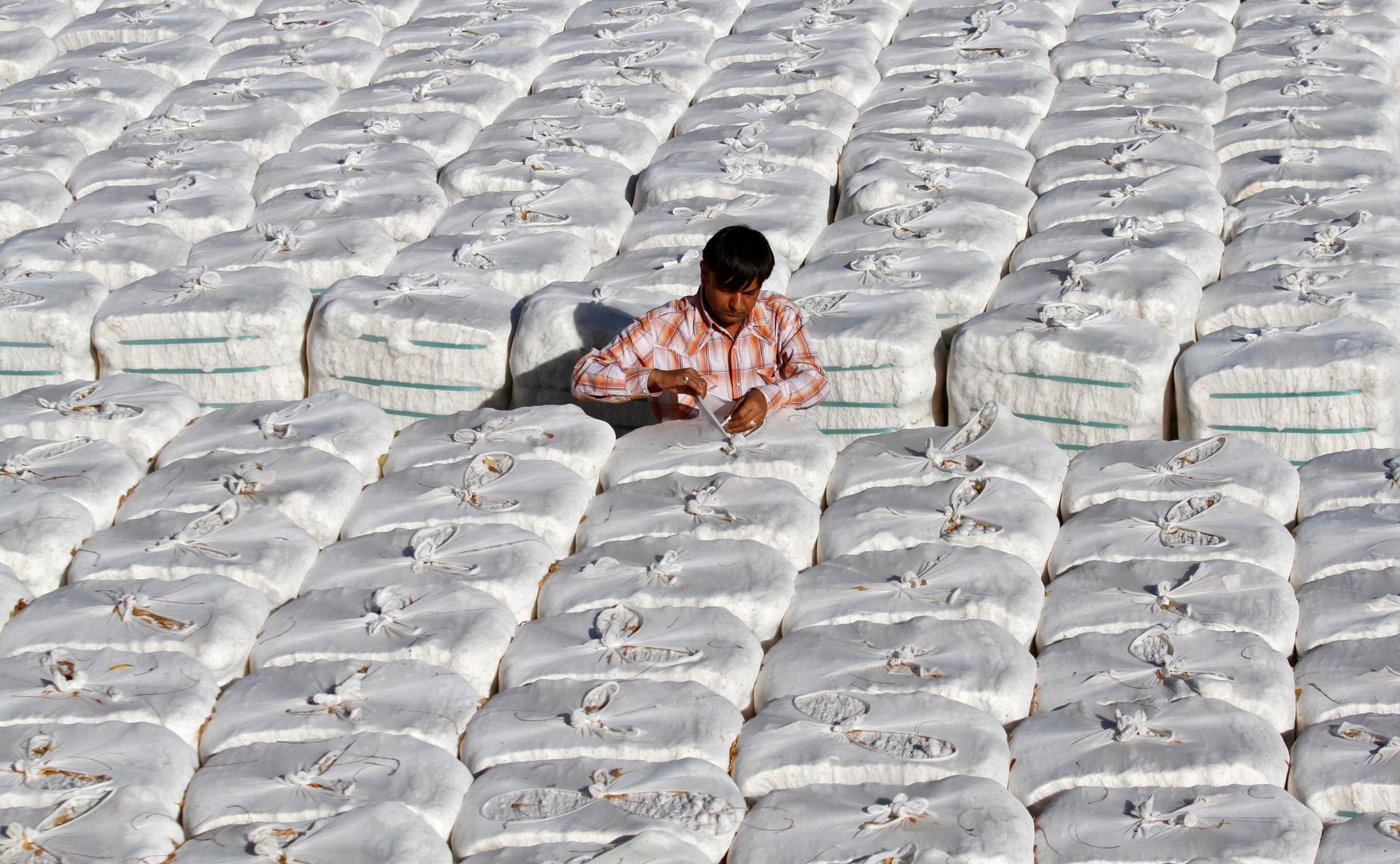 A trader checks stacked boxes of cotton before loading them onto a truck inside a cotton processing unit in Kadi near the western Indian city of Ahmedabad.
