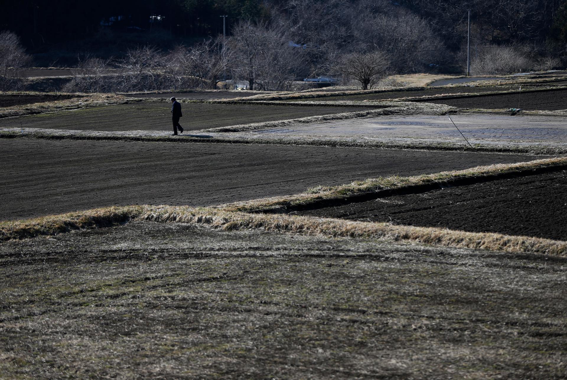 A man walks between a fallow rice field at Miyakoji area in Tamura, Fukushima prefecture on April 1, 2014. The area was finally opened to residents three years after the Fukushima Daiichi nuclear disaster.