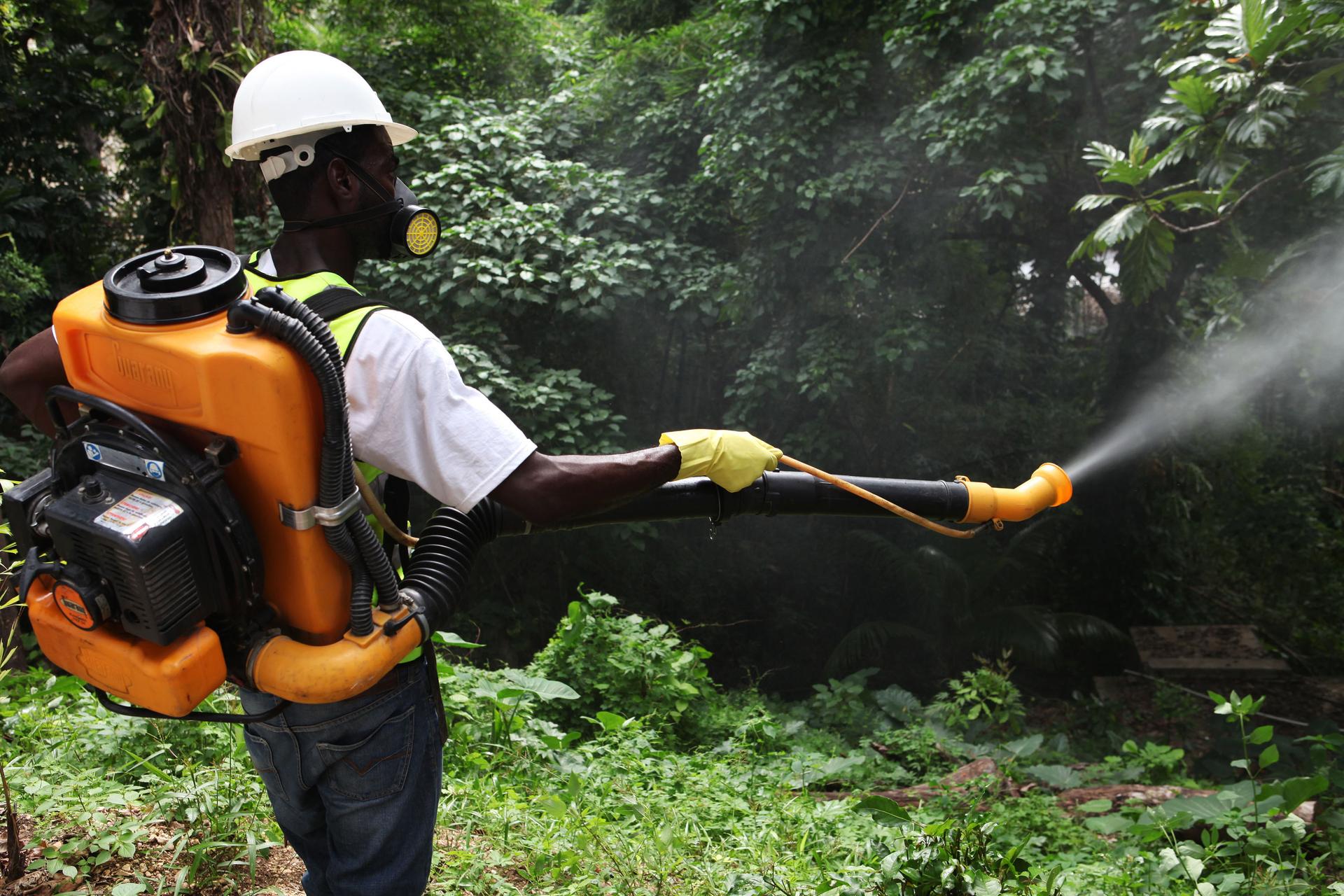 A worker from a private company fumigates a property for mosquitoes in Port-au-Prince, May 23, 2014. The painful mosquito-borne virus called Chikungunya is spreading quickly through the Caribbean, causing alarm in Haiti and the neighboring Dominican Repub