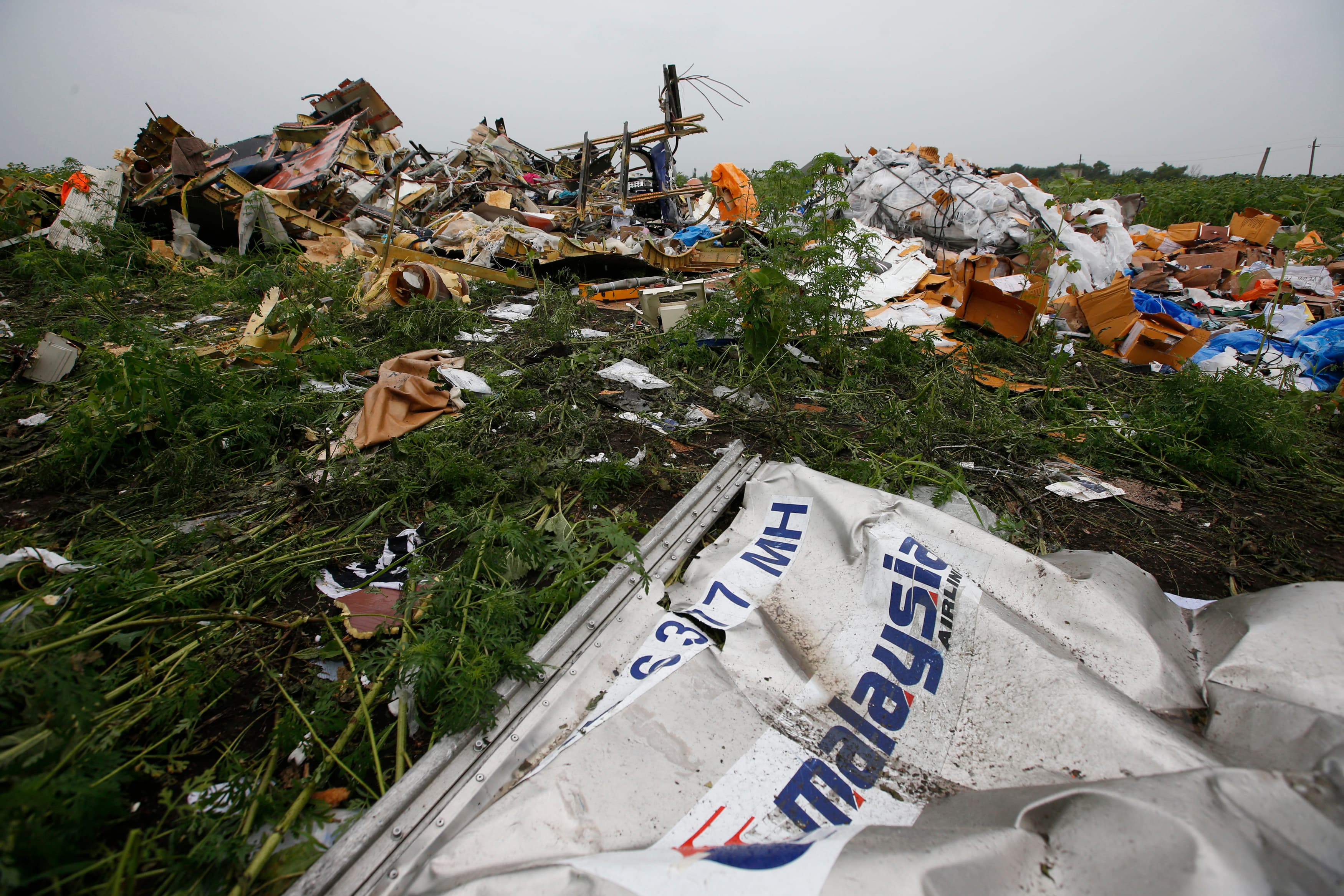 Malaysia Airlines Flight 17