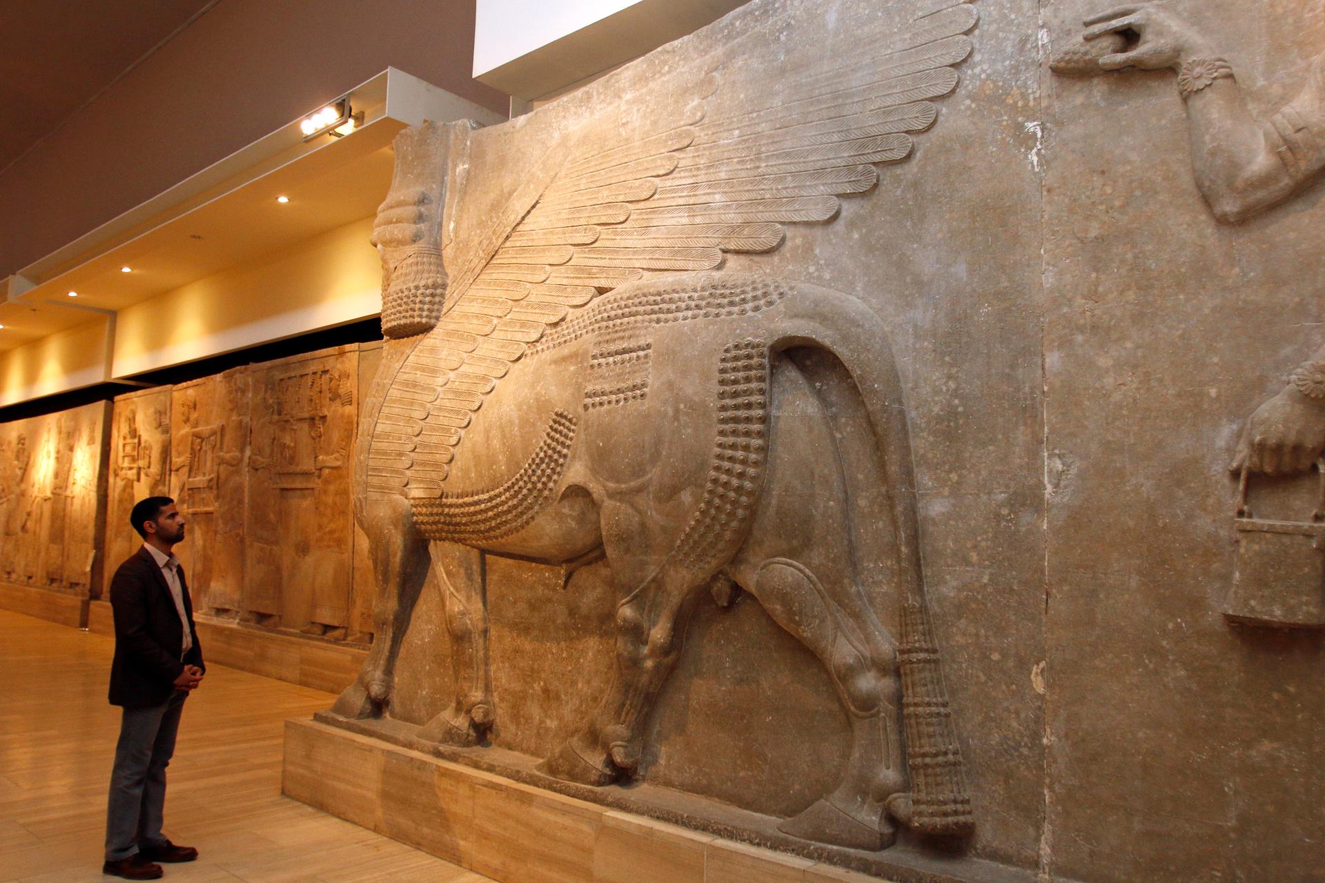 A man looks at an ancient Assyrian statue of a winged bull with a human head at the Iraqi National Museum in Baghdad on February 28, 2015.