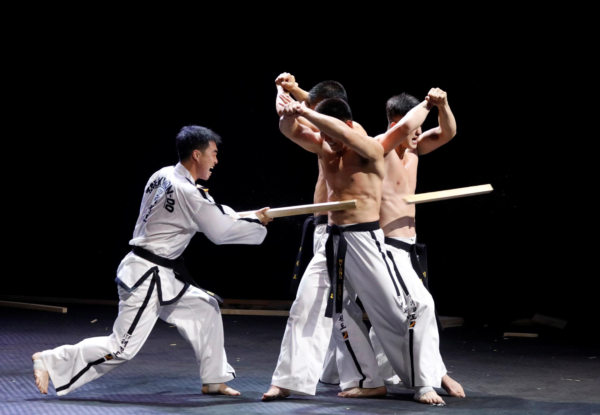 Members of North Korea-led International Taekwondo Federation demonstrate their skills at the World Taekwondo Headquarters 'Kukkiwon'