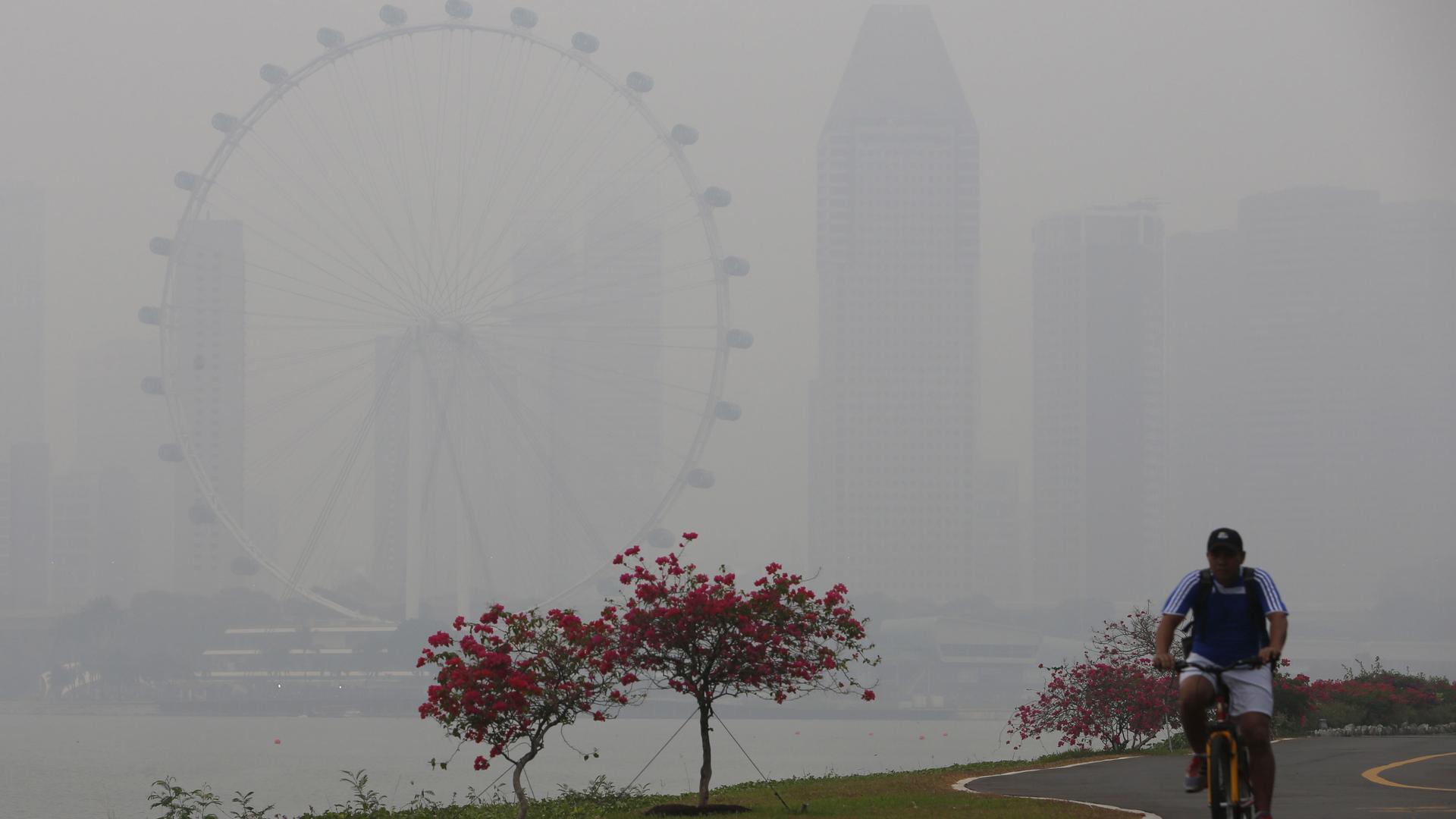 A man rides his bicycle past the Singapore Flyer observatory wheel shrouded by haze, in Singapore.