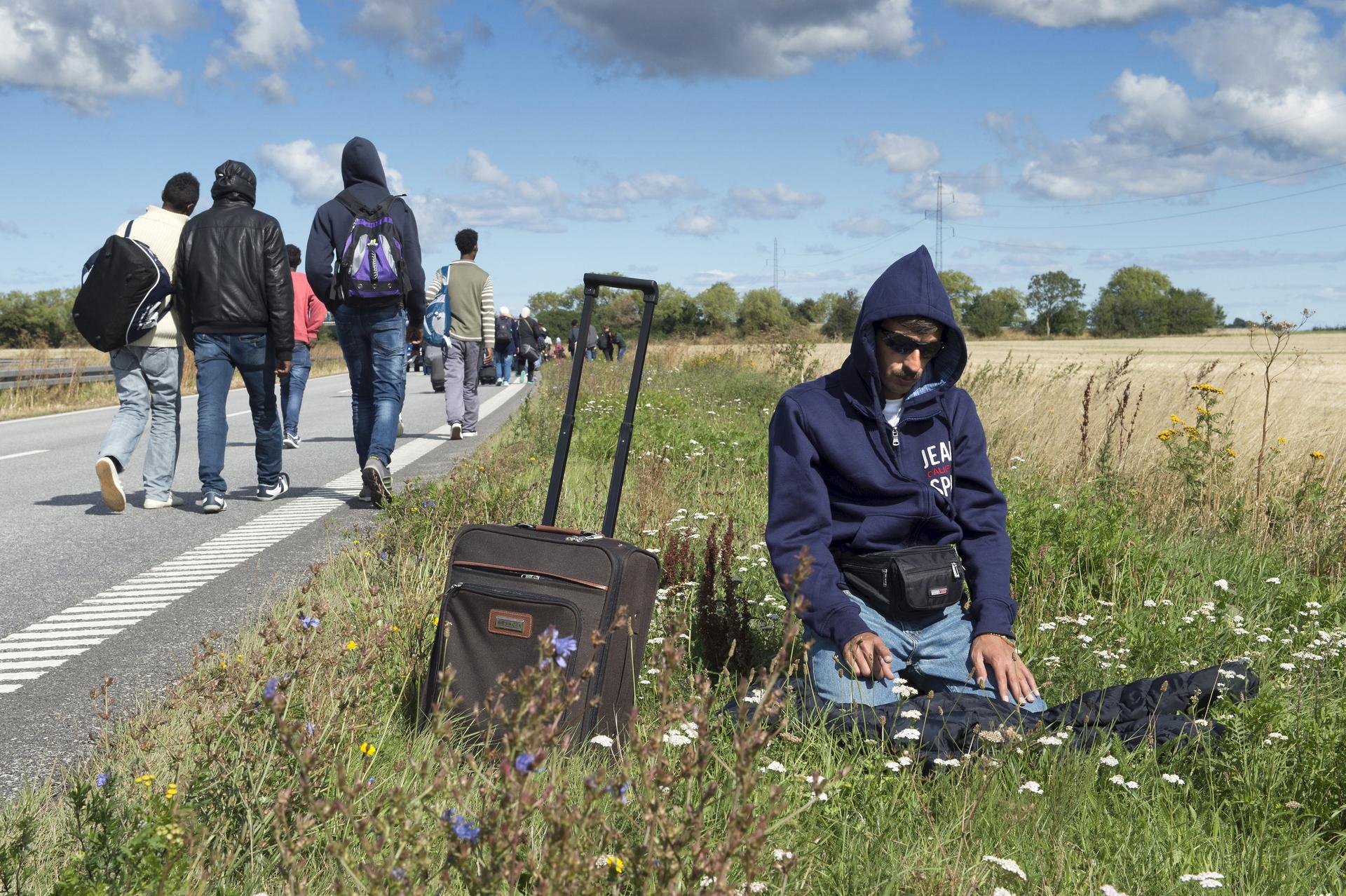 A migrant prays beside a freeway north of Rodby as a large group of migrants, mainly from Syria, walk on the highway towards the north September 7, 2015. Many migrants, mainly from Syria and Iraq, have arrived in Denmark over the last few days.