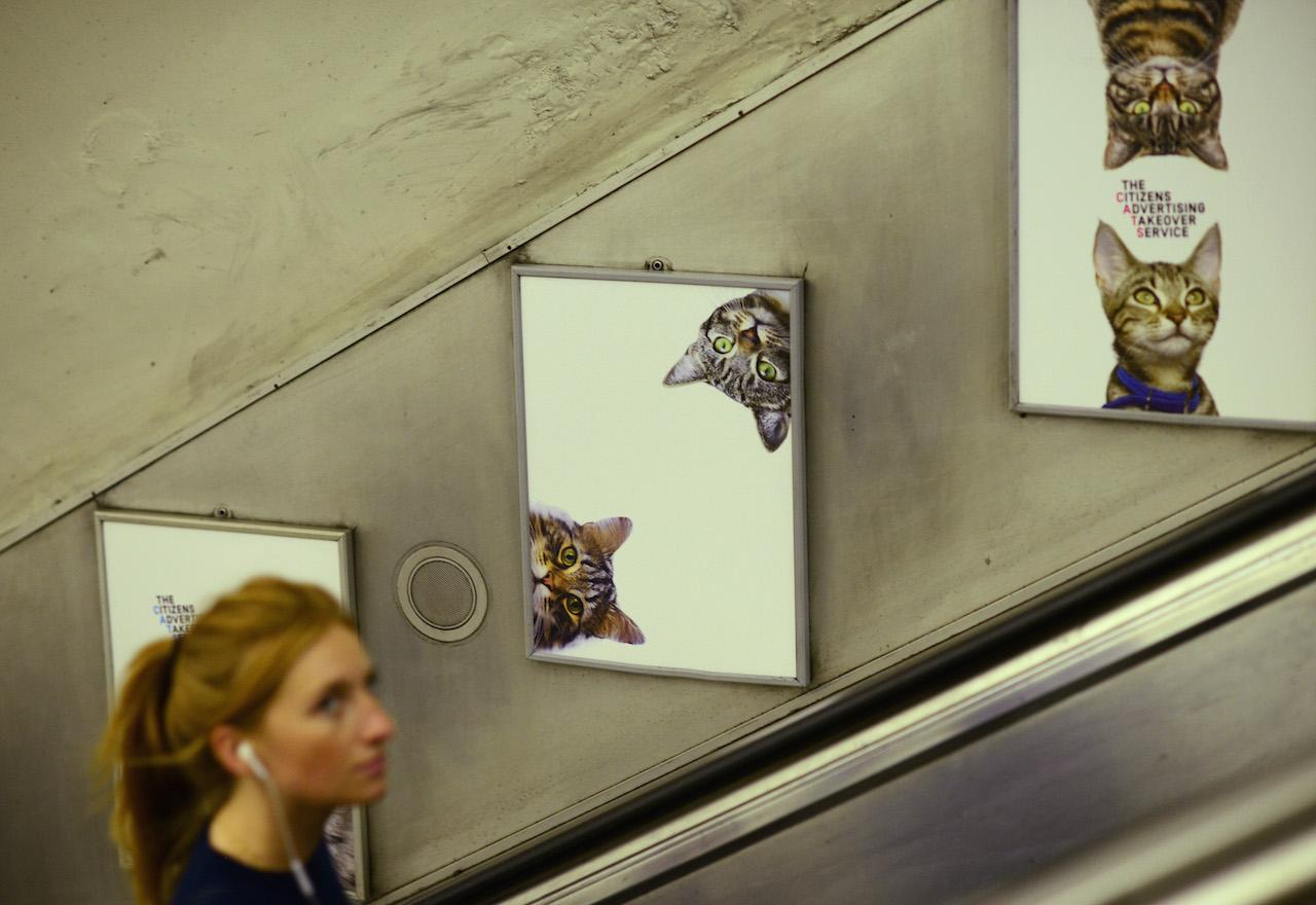 Subway cats London