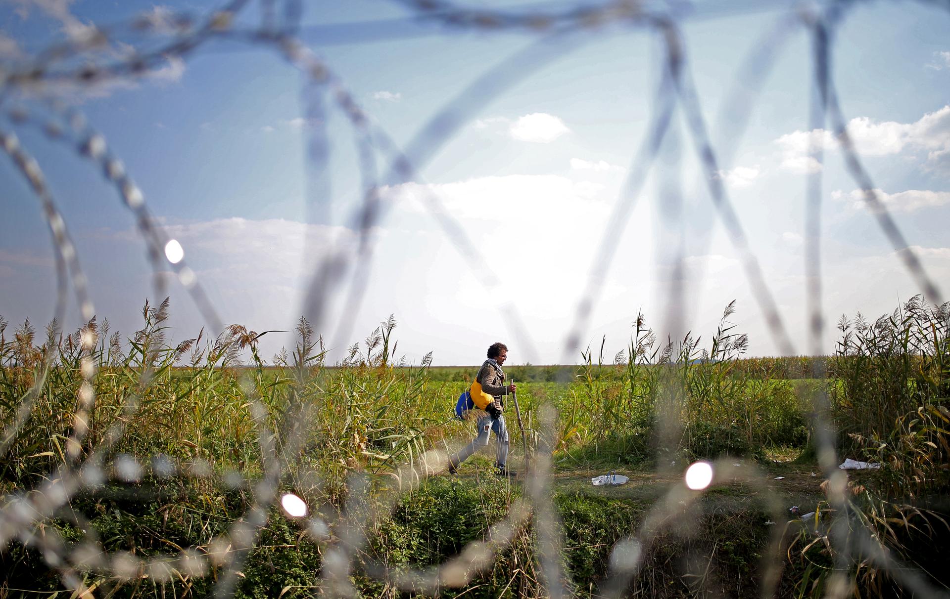 A migrant is seen through the fence as he walks before crossing the into the country from Serbia at the border near Roszke, Hungary September 13, 2015. 