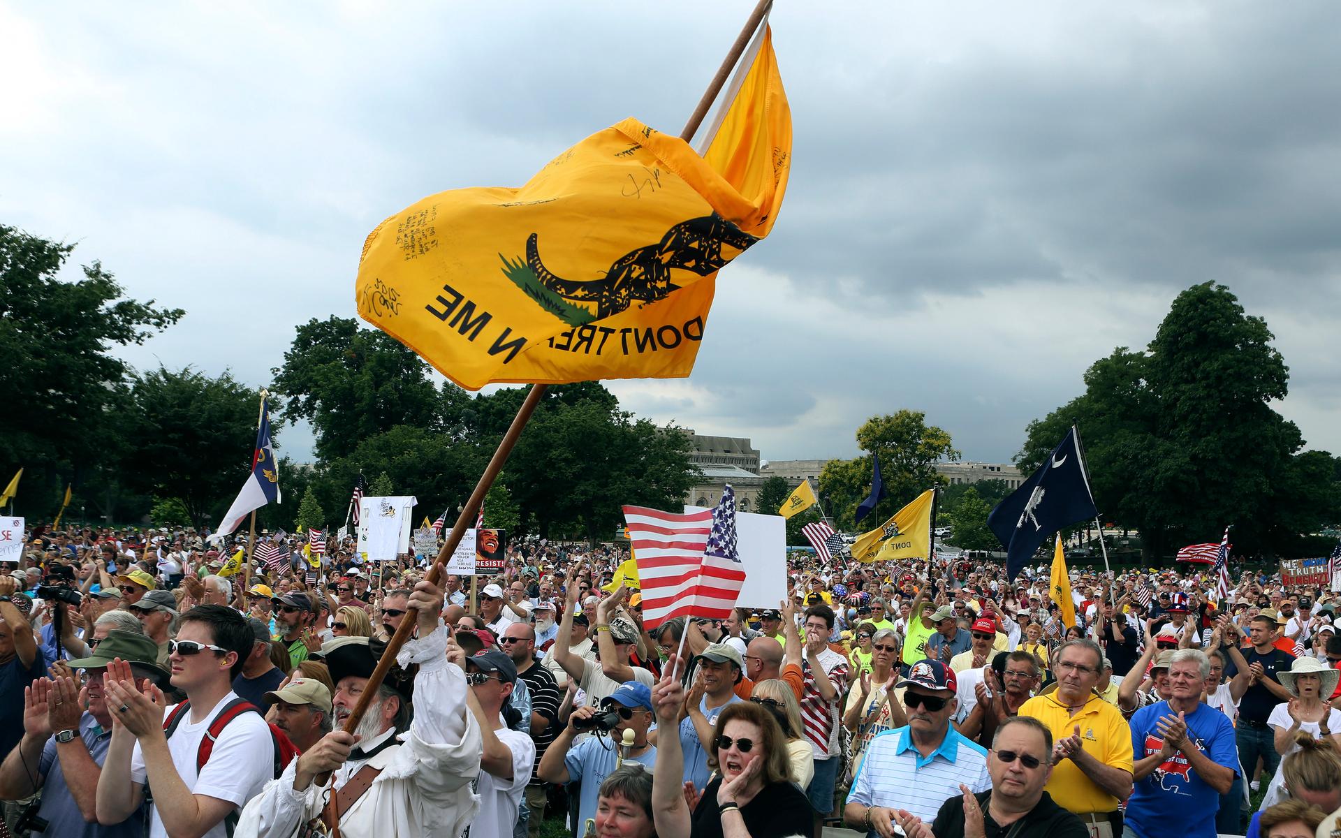The crowd cheers during a Tea Party rally to "Audit the IRS" in front of the U.S. Capitol in Washington June 19, 2013