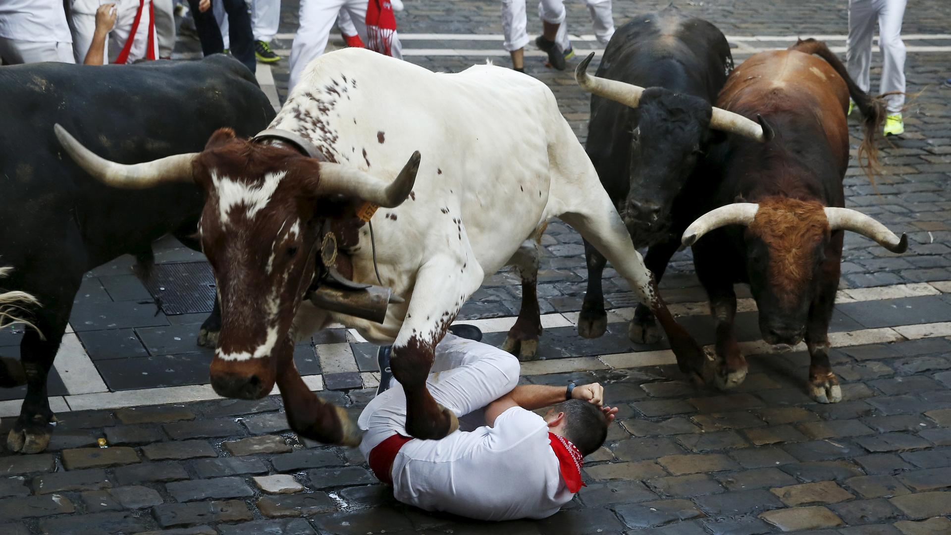 Steer jumps over a runner during the running of the bulls in Pamplona