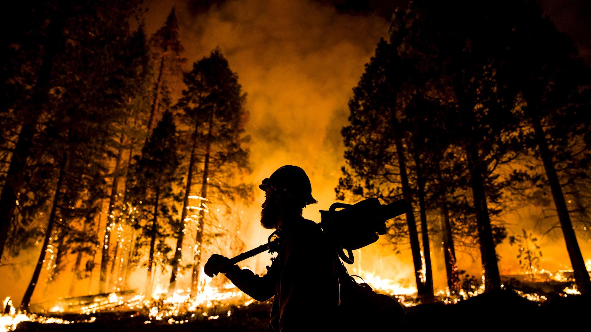 A firefighter watches a controlled burn in Sequoia National Forest, California