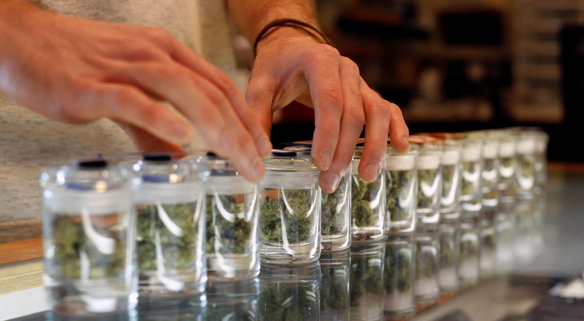 A variety of medicinal marijuana buds in jars are pictured at Los Angeles Patients & Caregivers Group dispensary in West Hollywood, California U.S., October 18, 2016.
