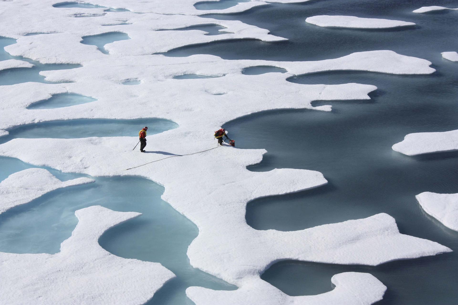 Freshwater ponds appear atop the Arctic ice