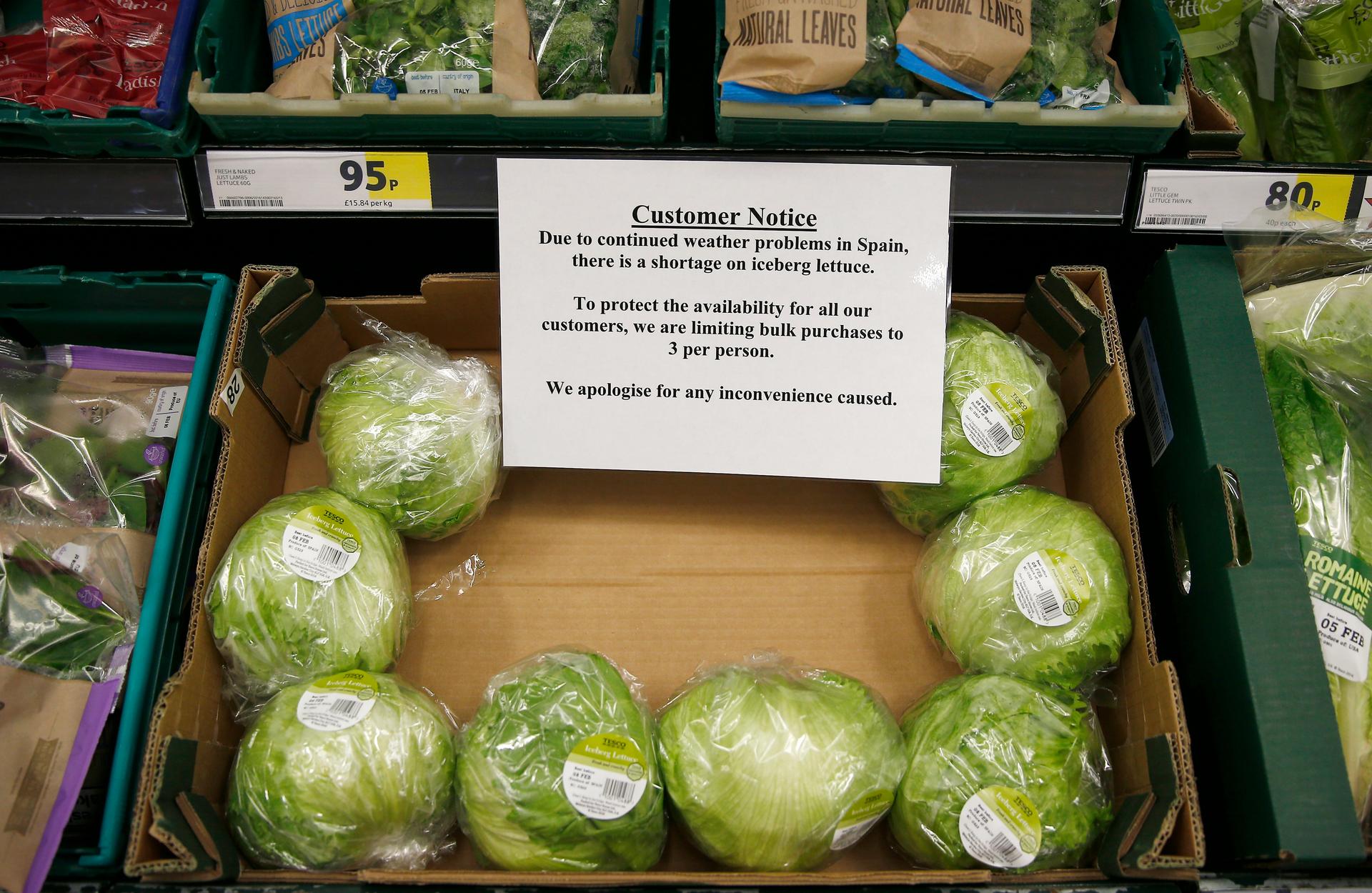 Iceberg lettuces are seen next to a sign requesting that customers limit their purchase in a supermarket, in London, Britain February 3, 2017.