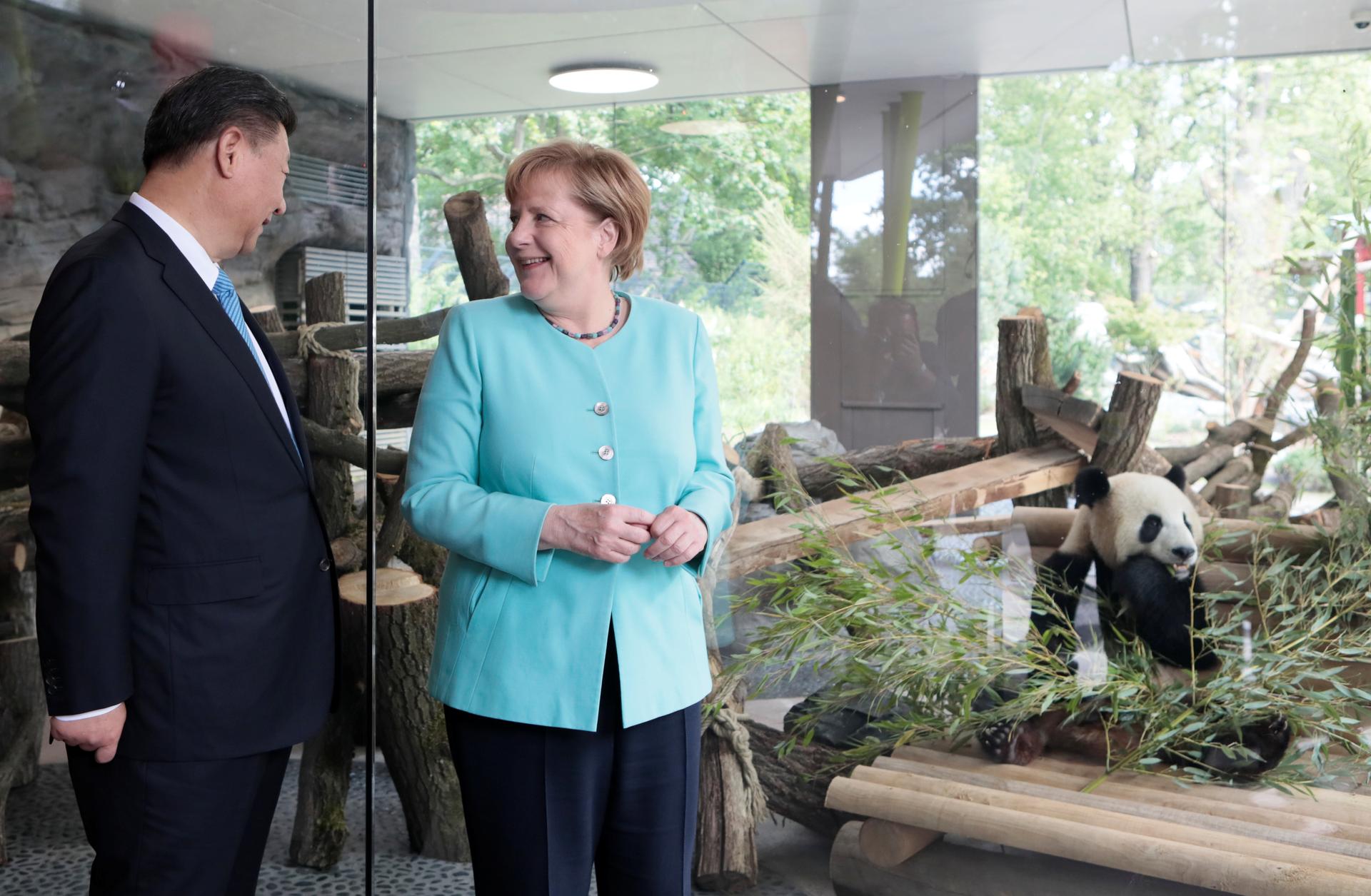German Chancellor Angela Merkel and Chinese President Xi Jinping attend a welcome ceremony for Chinese panda bears Meng Meng and Jiao Qing at the Zoo in Berlin, Germany July 5, 2017.