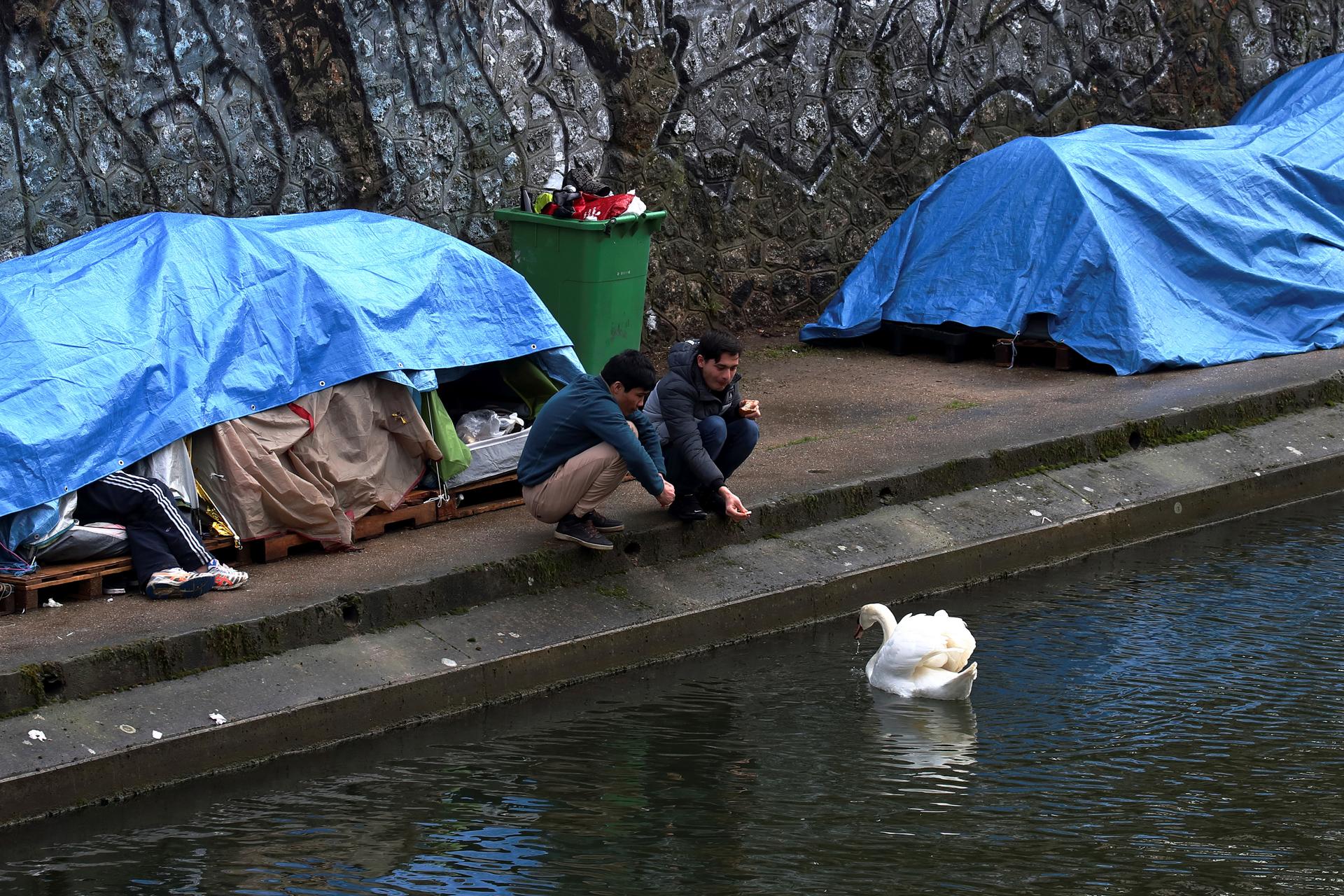 Two young men crouch by a canal feeding swans with camping tents in the background.