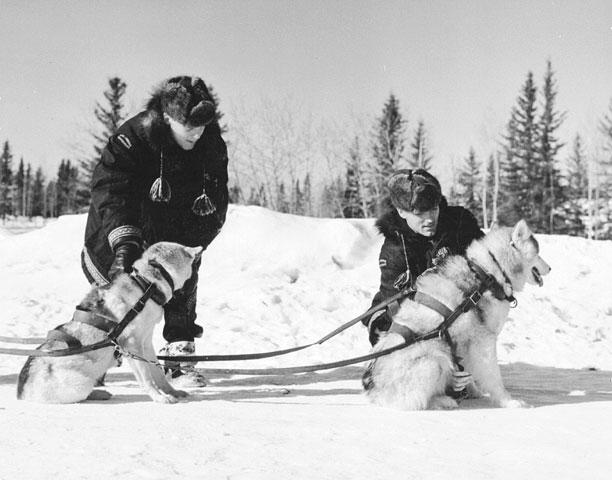 Two members of the Royal Canadian Mounted Police hitching sled dogs into their harness before going on patrol in 1957.