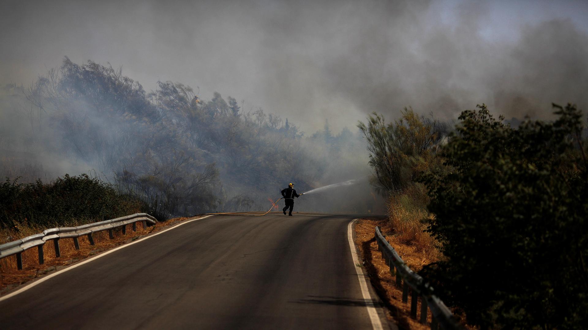 A firefighter works to put out a forest fire during a June heatwave in Southern Spain. Fires have plagued much of southern Europe this summer as the region has been hit by intense heat and drought.