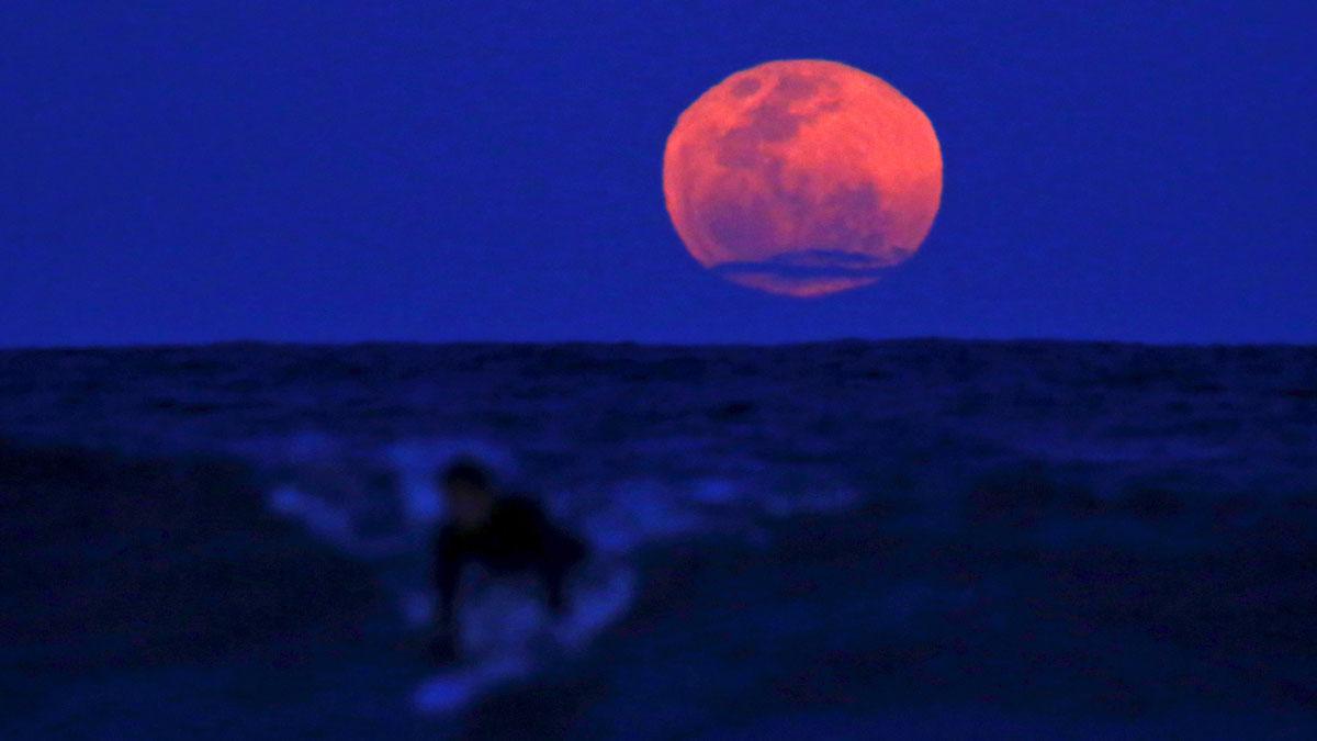 A surfer catches a wave as a super moon rises in the sky in Sydney, Australia. The astronomical event occurs when the moon is closest to the Earth in its orbit, making it appear much larger and brighter than usual. 