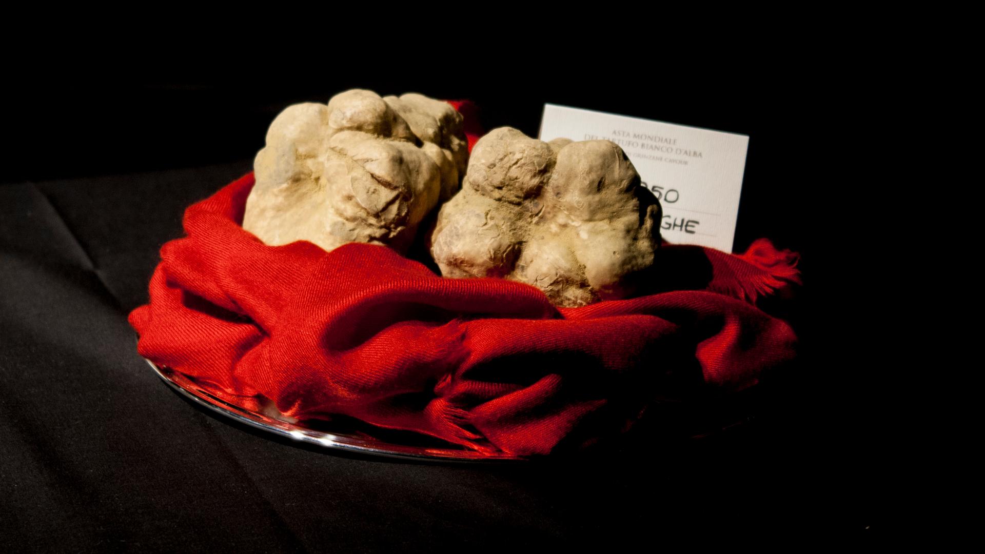 Truffles wait on a silver platter to be sold at the International Truffle Auction in Alba, Italy. 