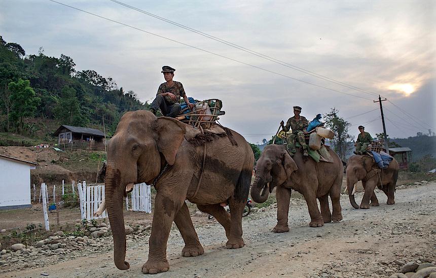 Myanmar Kachin war elephants