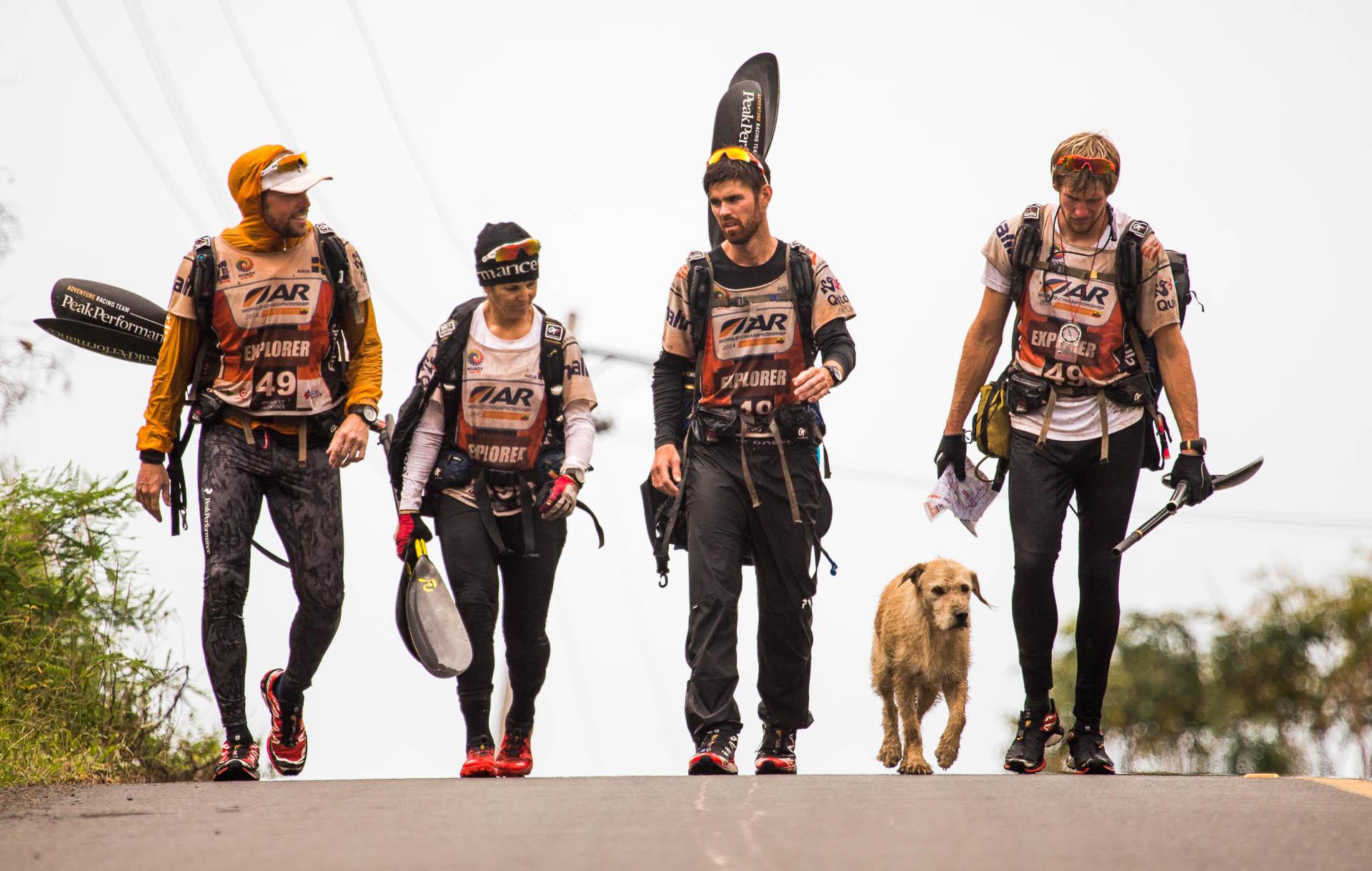 Team Peak Performance walks with stray dog Arthur during a stage of the 430-mile Adventure Racing World Championship. 