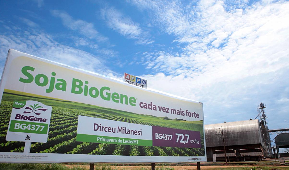 A billboard for soybeans in Mato Grosso, Brazil. The region is likely to make Brazil the world's top producer of soybeans, but the boom in production has come at the same time as a rise in deforestation.