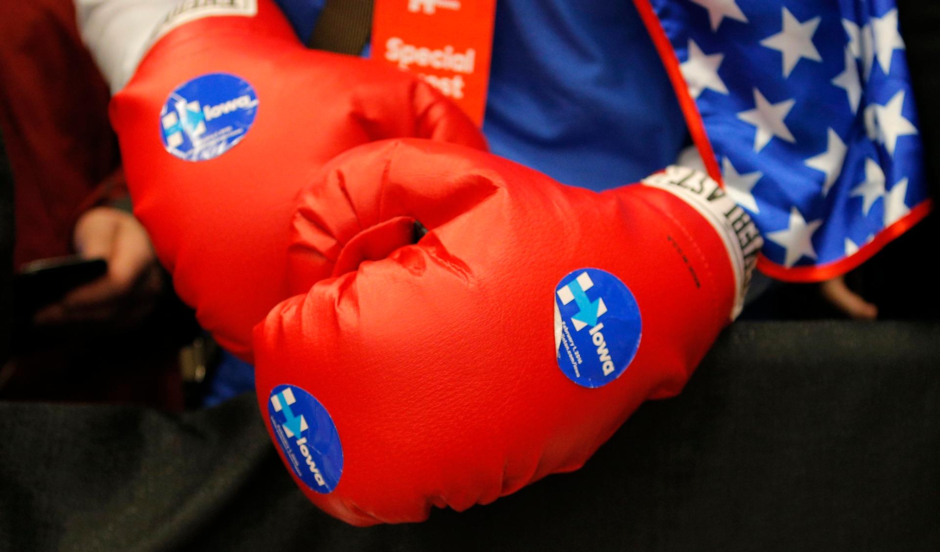 Political boxing gloves