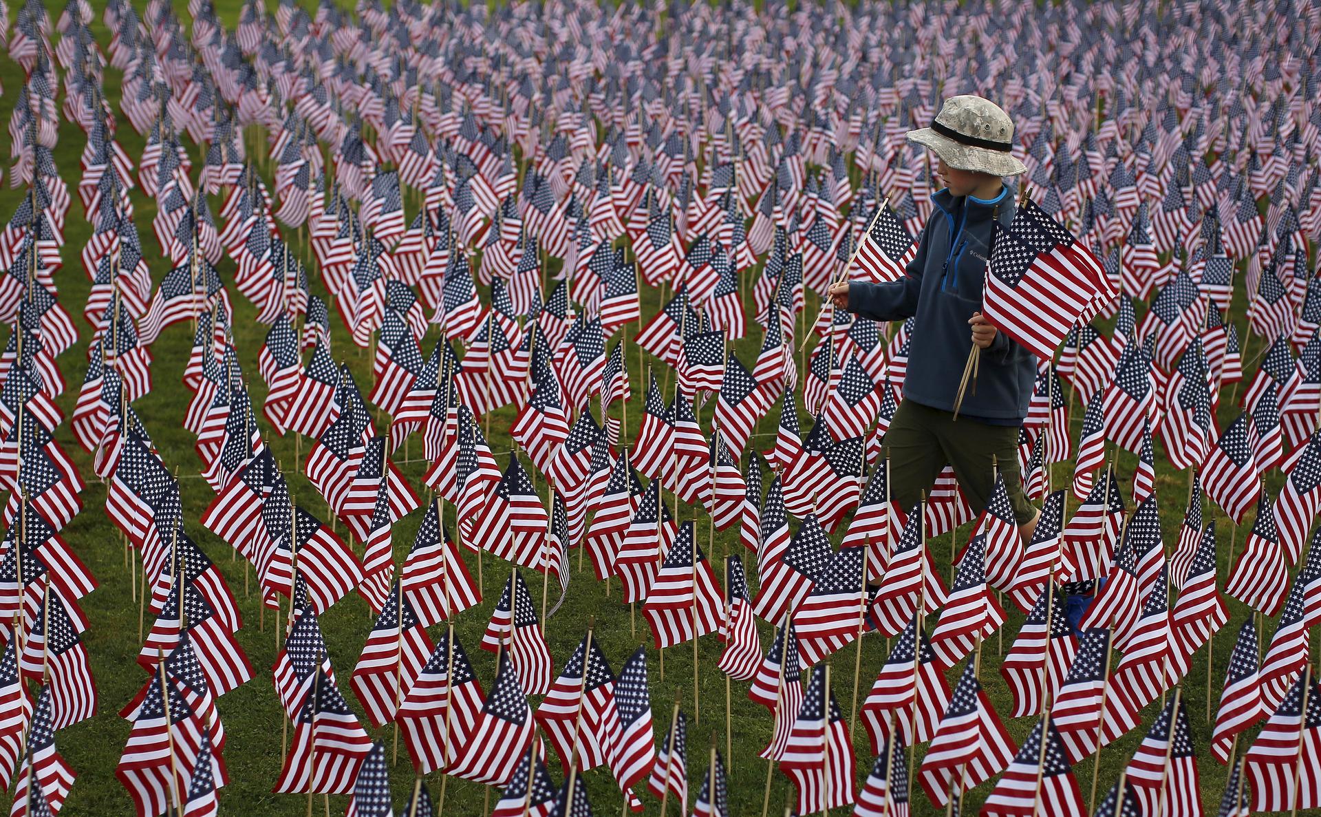 Boy walks among flags