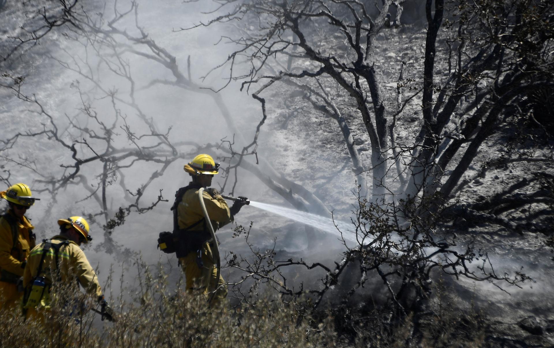 Firefighters battle the so-called Blue Cut Fire