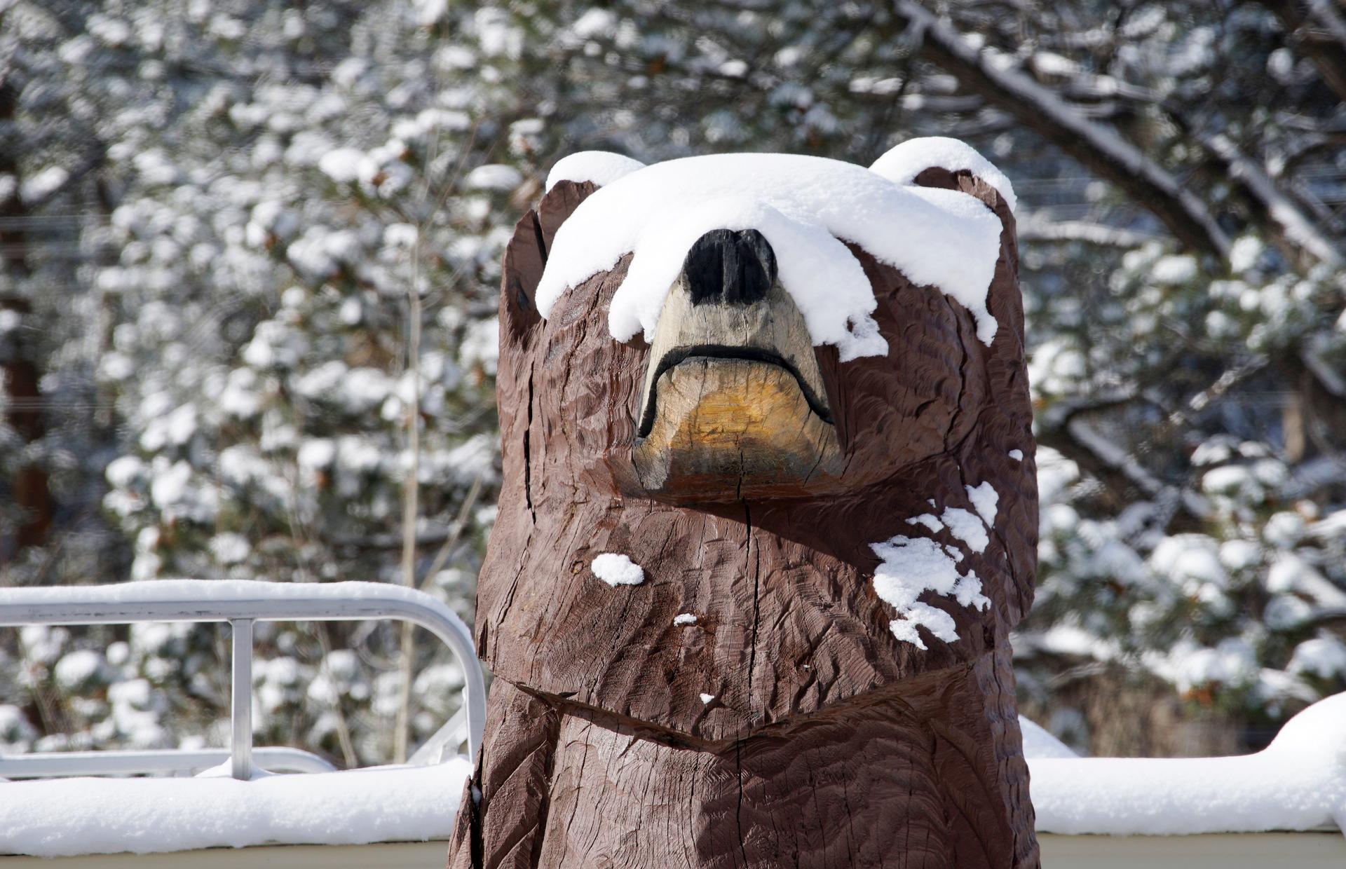 The face of a carved wooden bear