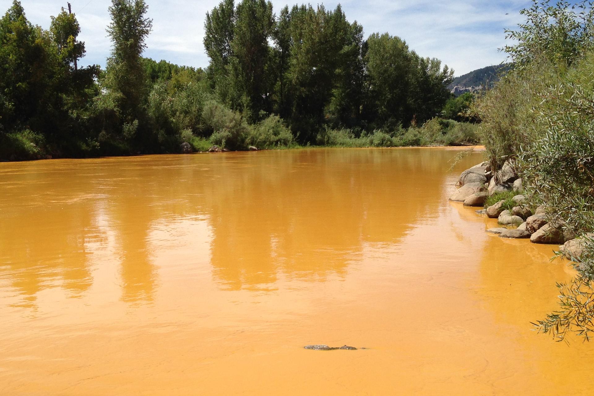 The Animas River, mustard-color about 24 hours after a spill.