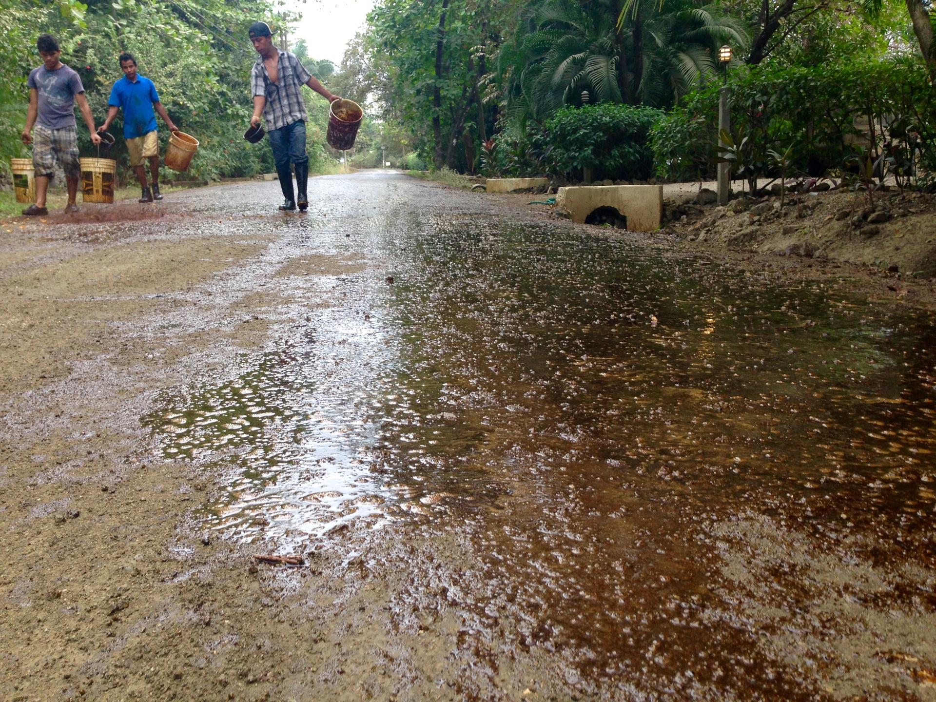 Workers pour molasses onto a road in Playa Guiones.
