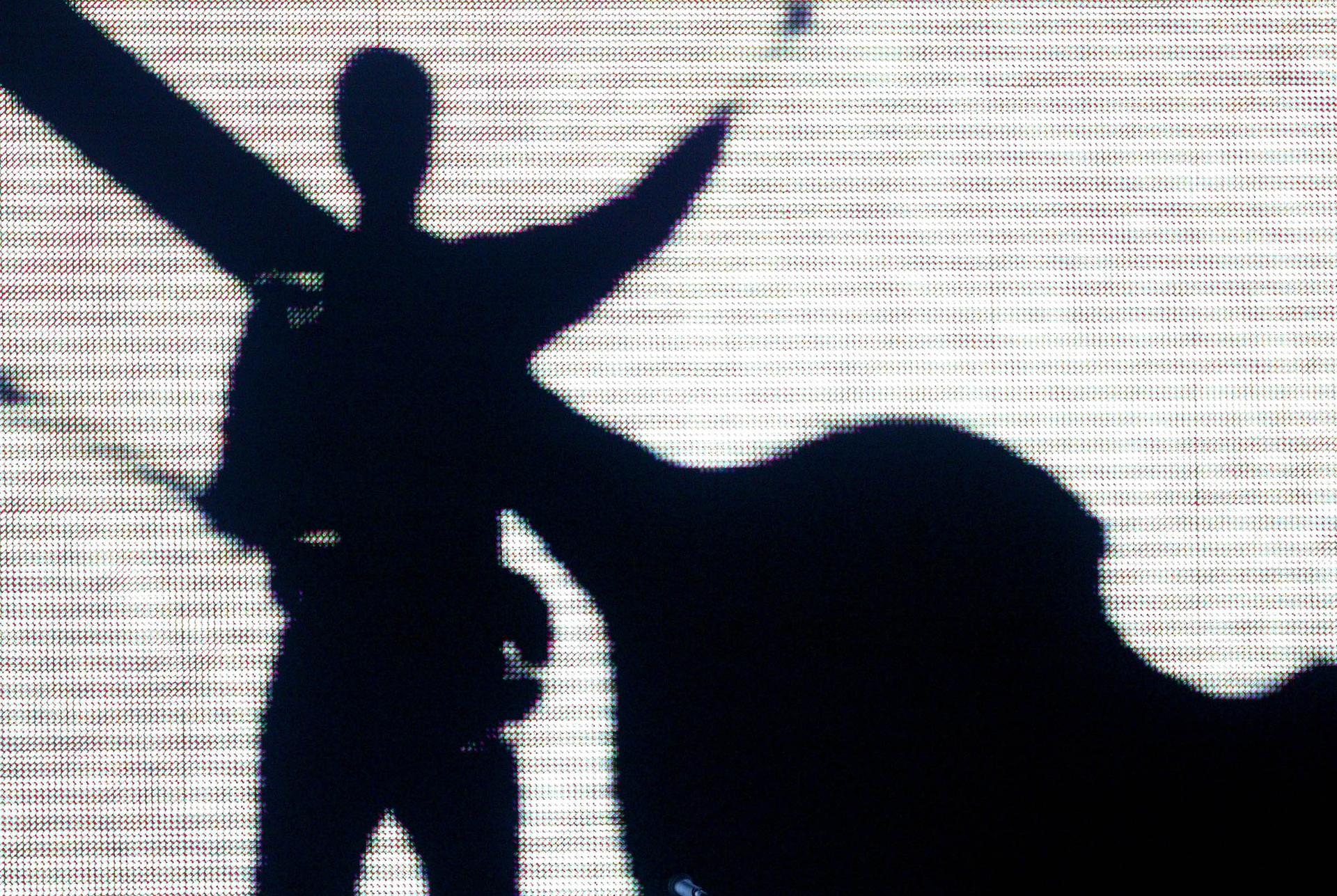 A musician in silhouette
