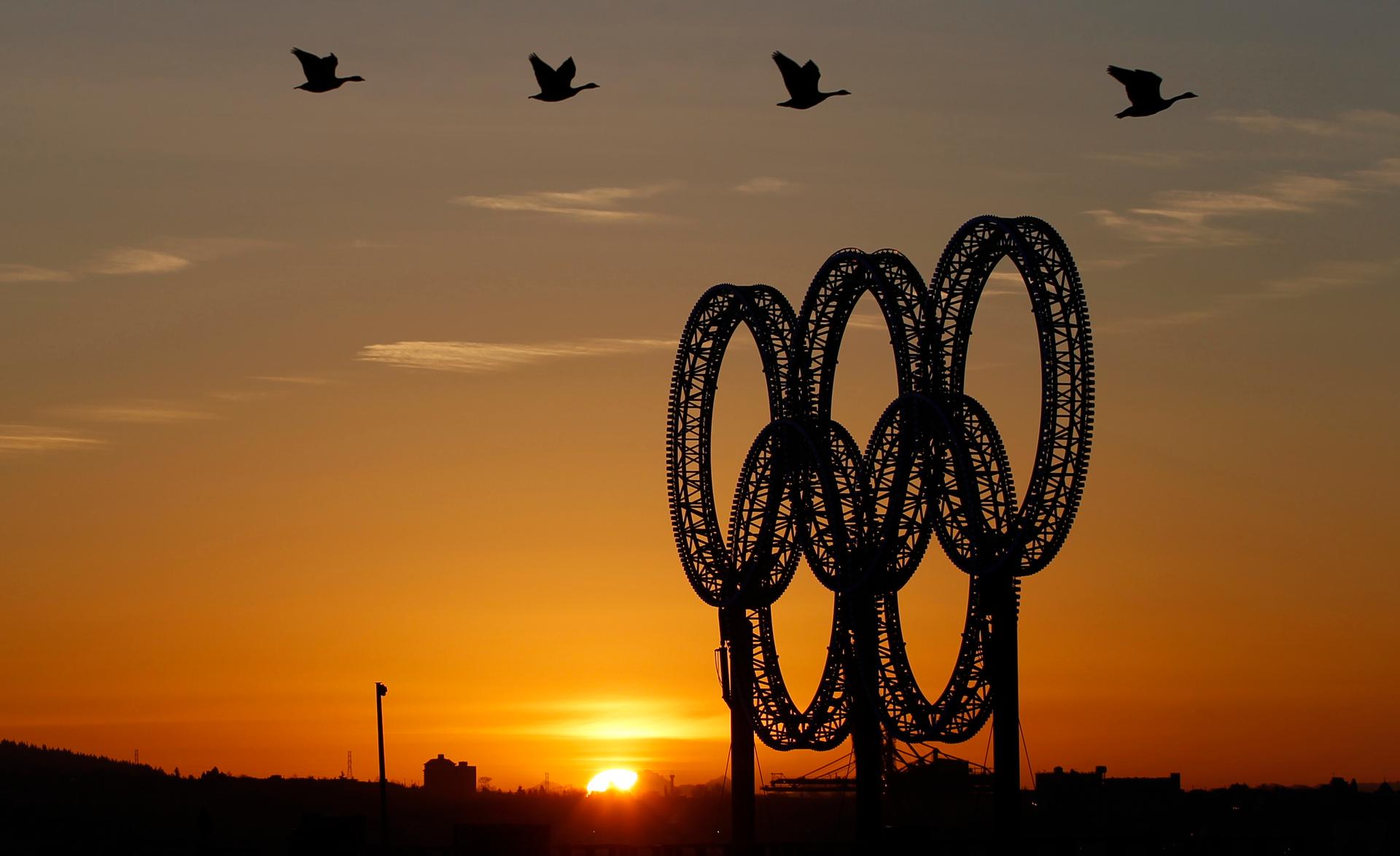 Geese fly past Vancouver's Olympic Rings