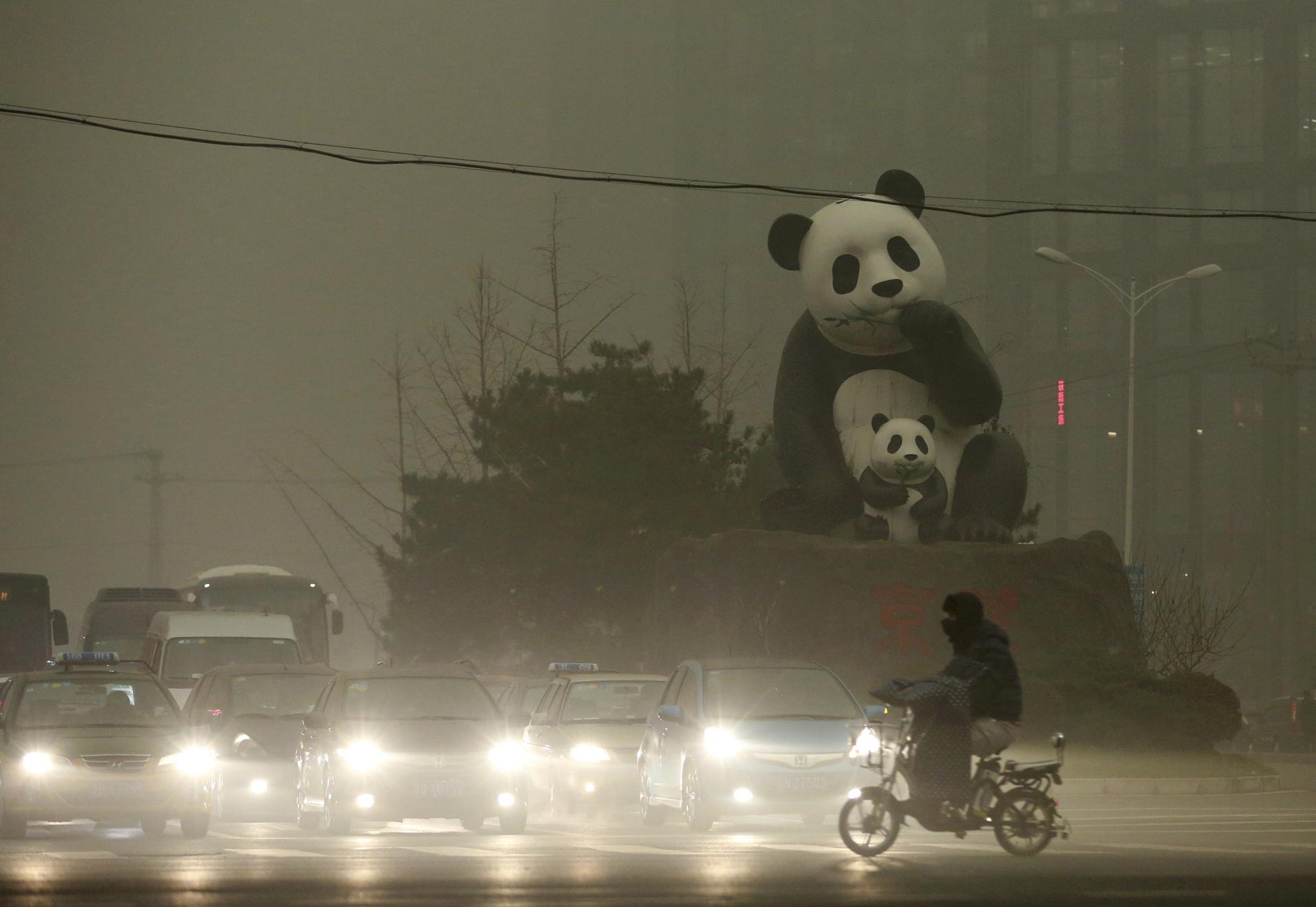 Pandas in pollution