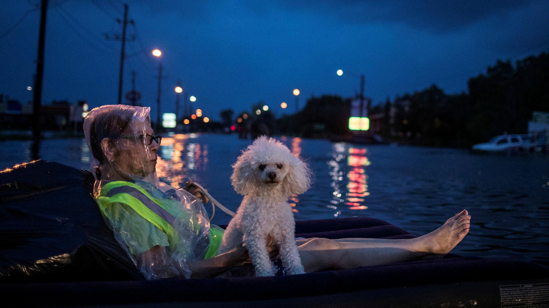 A rescue helicopter hovers in the background as an elderly woman and her poodle use an air mattress to float above flood waters from Tropical Storm Harvey while waiting to be rescued from Scarsdale Boulevard in Houston, Texas, U.S.