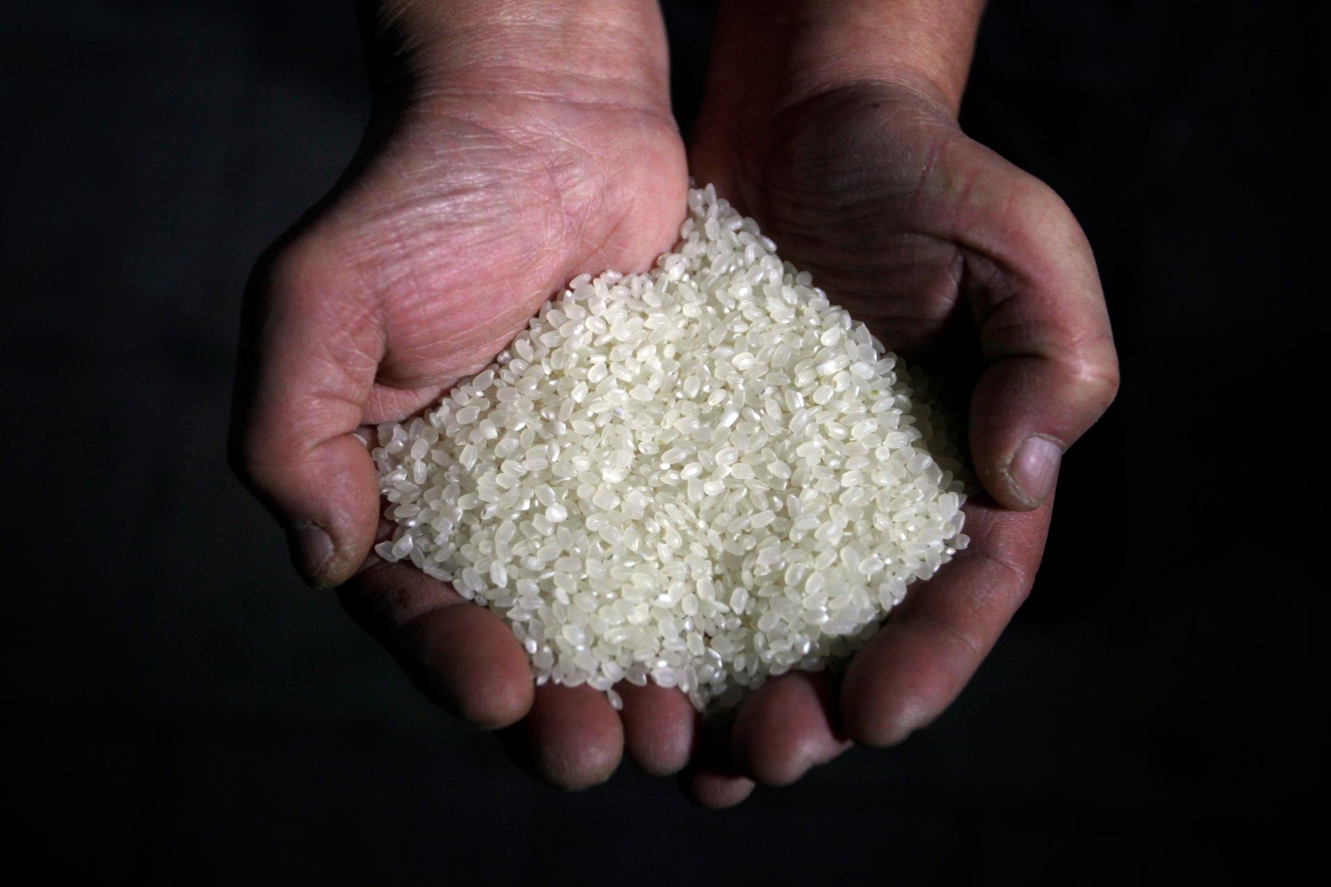 A chef poses with a handful of rice inside a restaurant in Taipei, Taiwin, on Jan. 11, 2011.