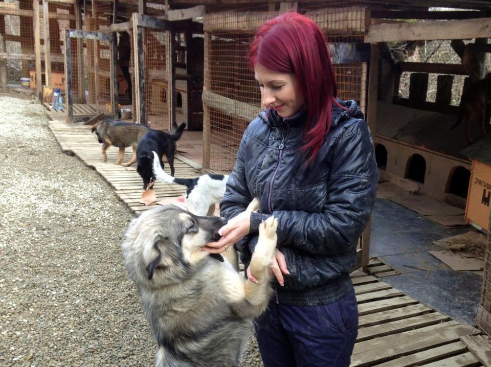 Vlada Provotorova picks up dogs off the street and takes them to her makeshift shelter on the outskirts of Sochi.