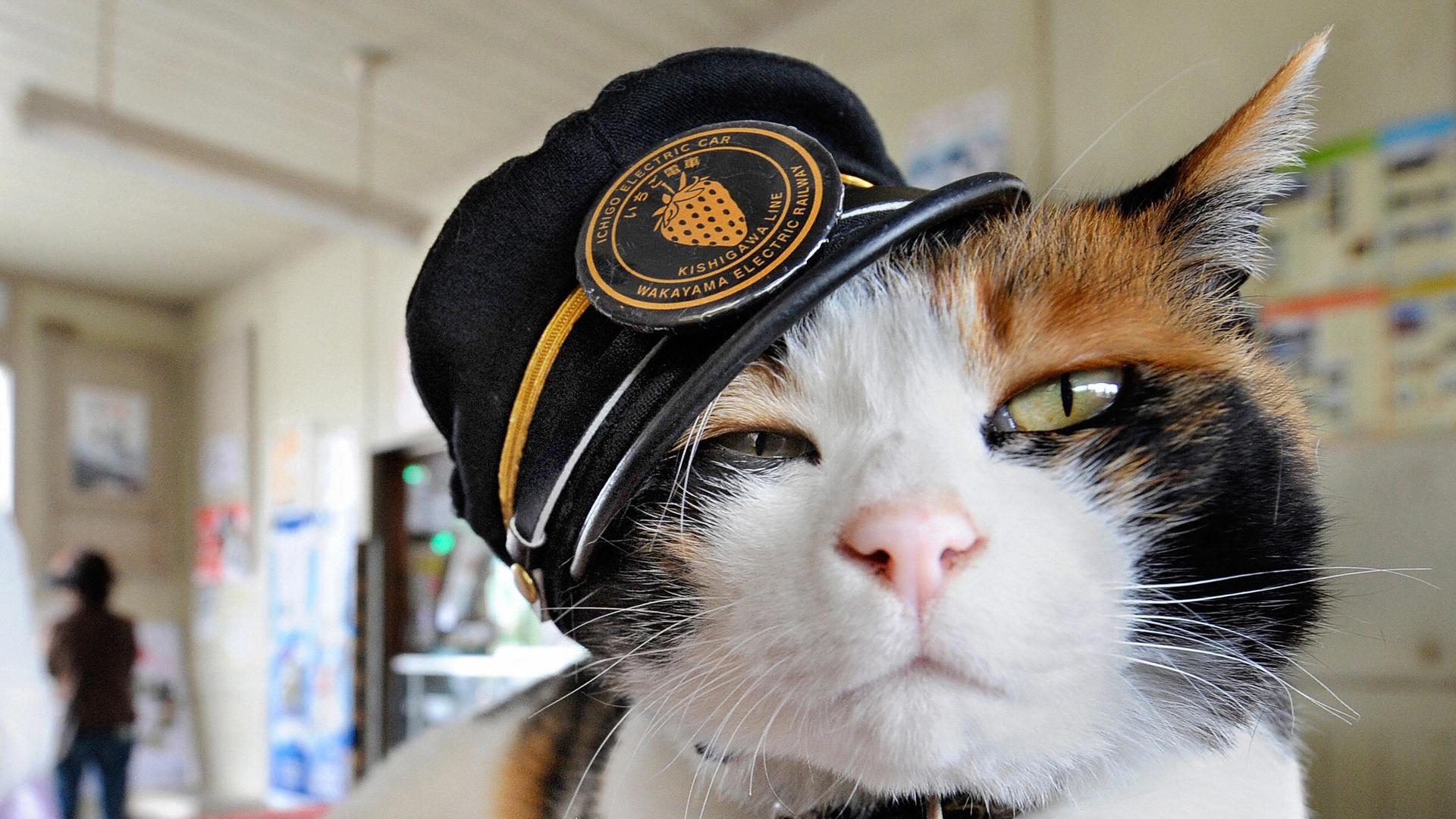 Tama wears a stationmaster's cap of Wakayama Electric Railway at the Kishi station on the Kishigawa line in the city of Kinokawa, in Wakayama prefecture.