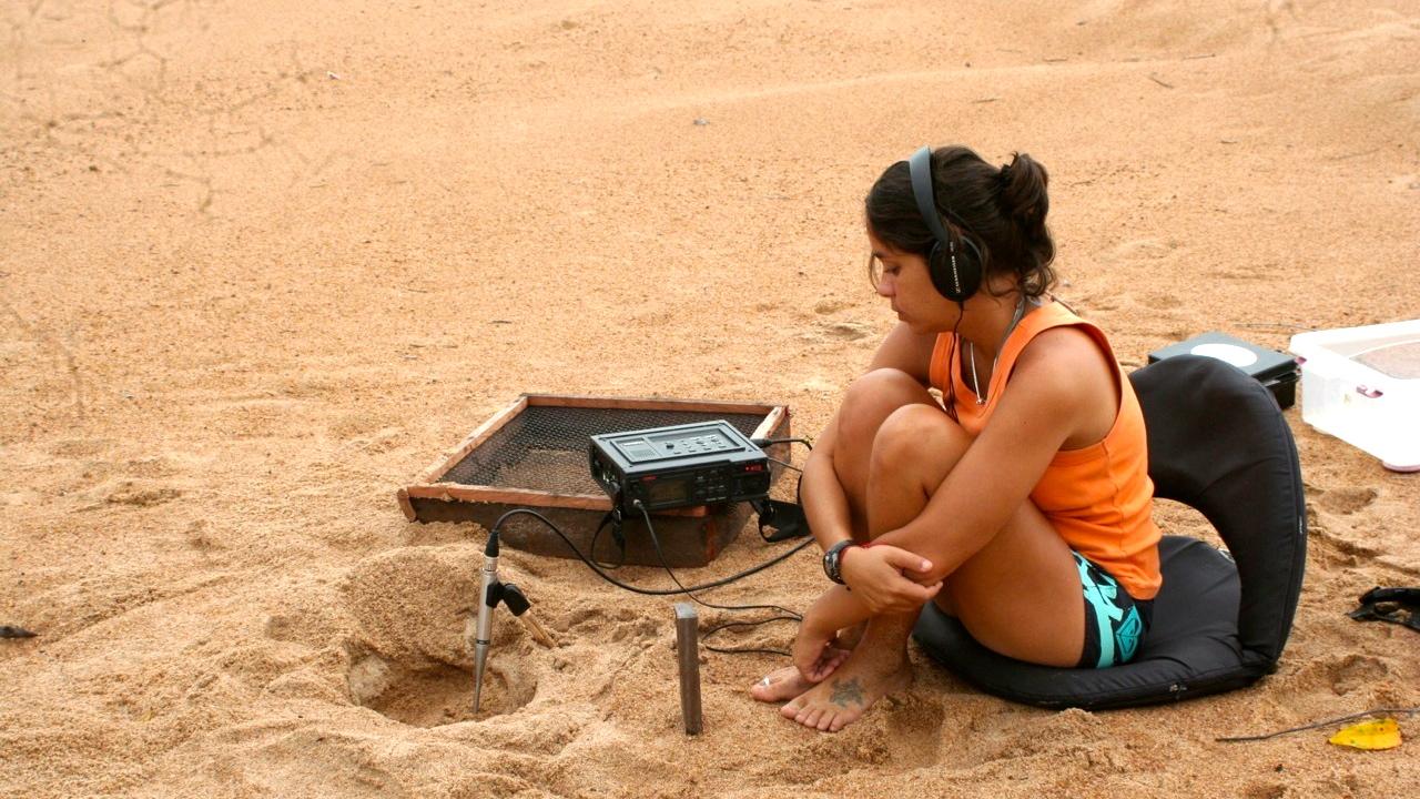 Camila Ferrara of the Wildlife Conservation Society records the sounds from South American river turtles on the beach before they even hatch from their eggs.