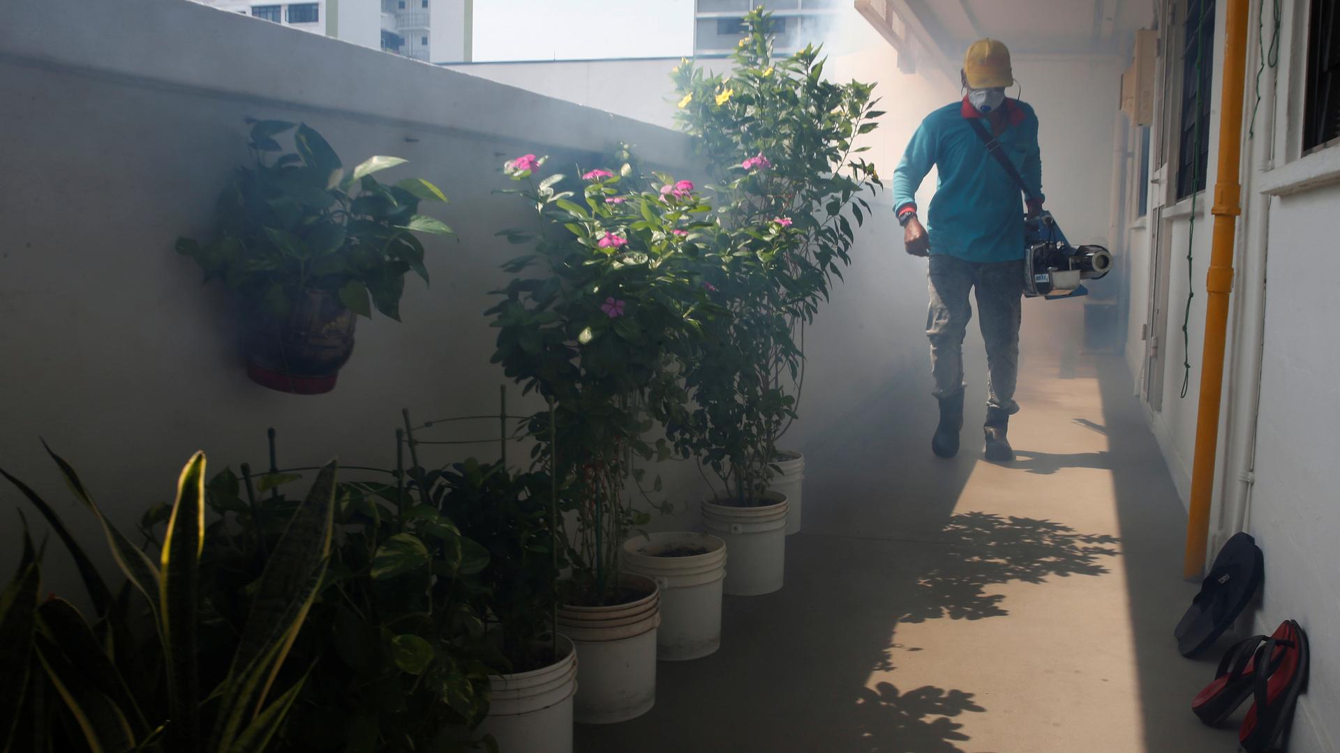 A worker fogs the corridor
