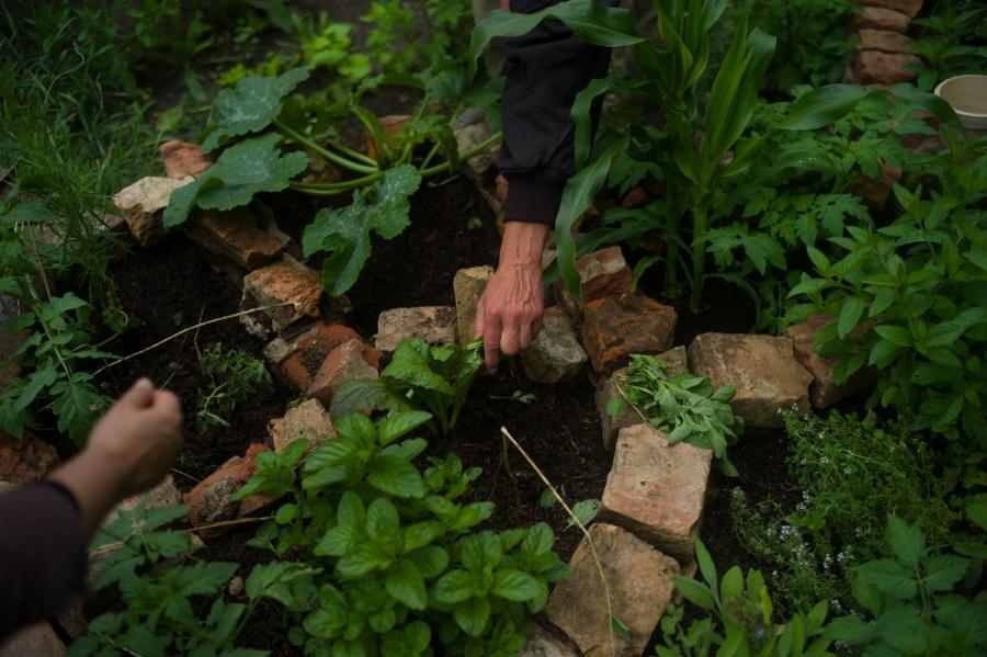 One of the gardeners who manages the space reaches for some herbs in a special bed off to the edge of the garden. The boundaries of the garden beds and plots are often marked off with brinks and stones that were once the foundations of the grave markers t