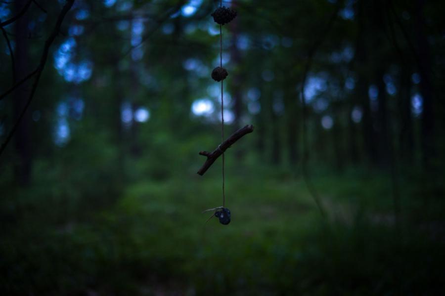 A small mobile hangs from a tree in the FriedWald Furstenwalde burial forest. Though graves are not meant to be decorated, some mourners dress the burial sites with small, personal trinkets like this one.